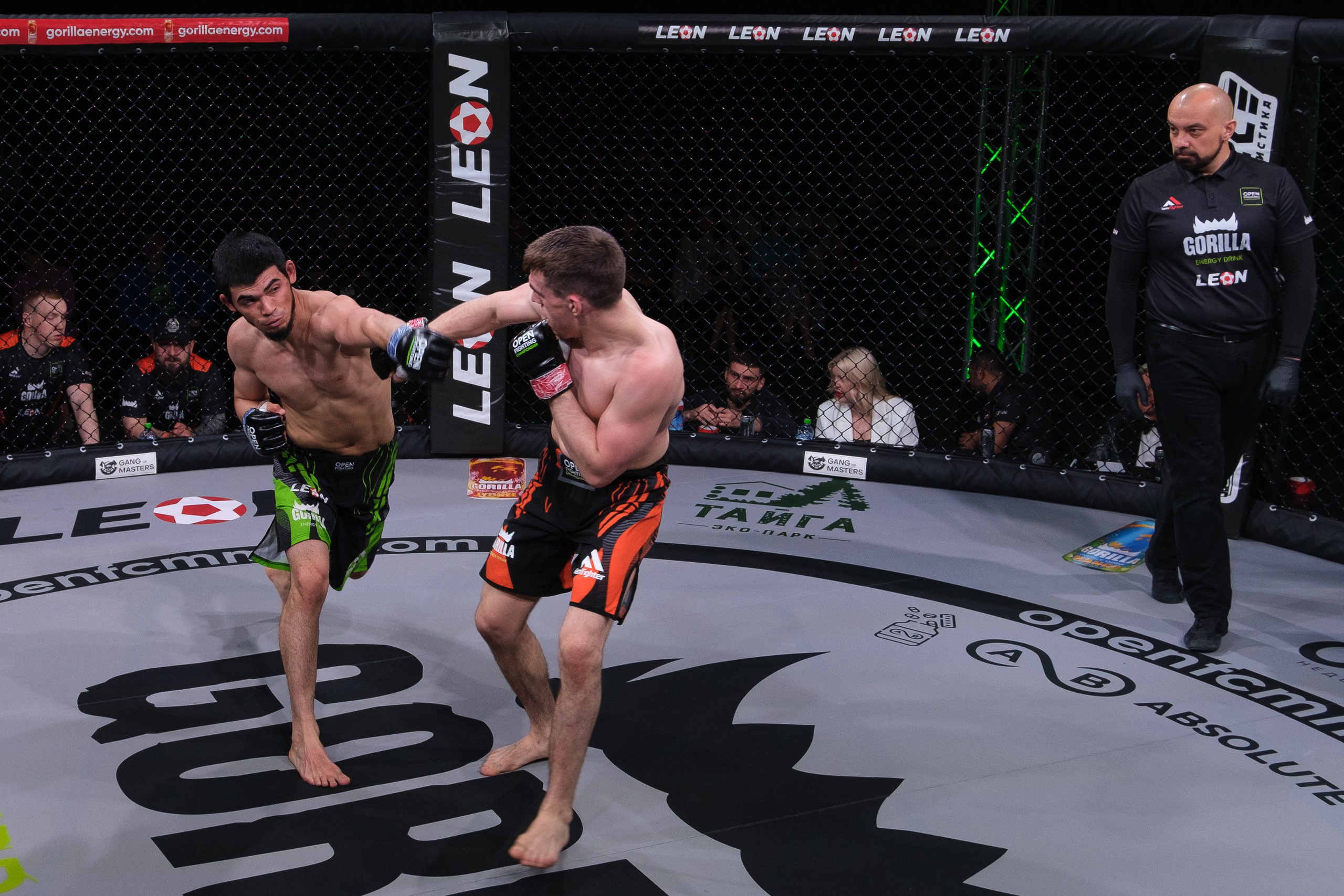 Международные бои ММА. Главная