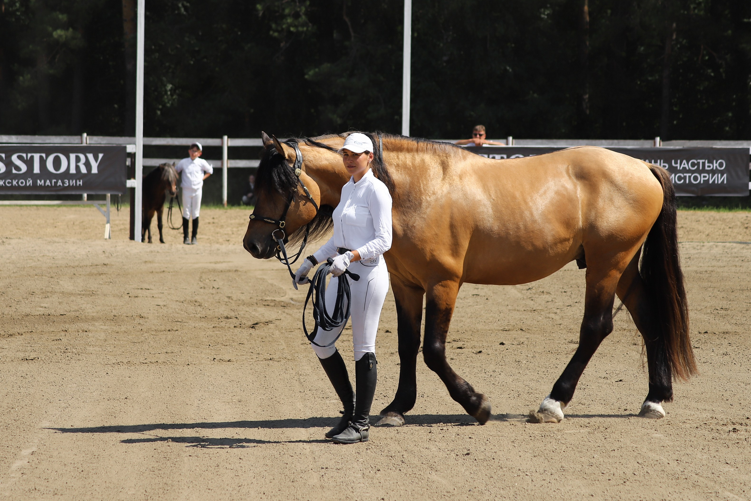 «Гонка фаворитов». Главная