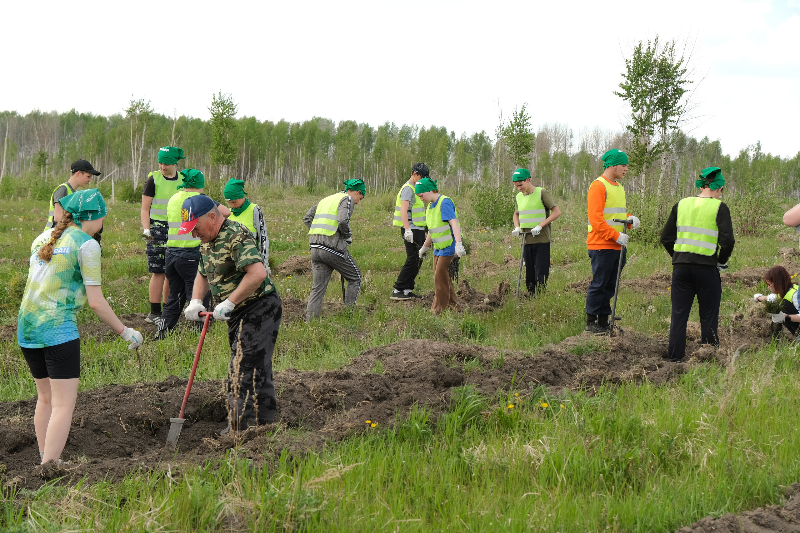 ПАО СИБУР акция «Волонтёры леса». Главная