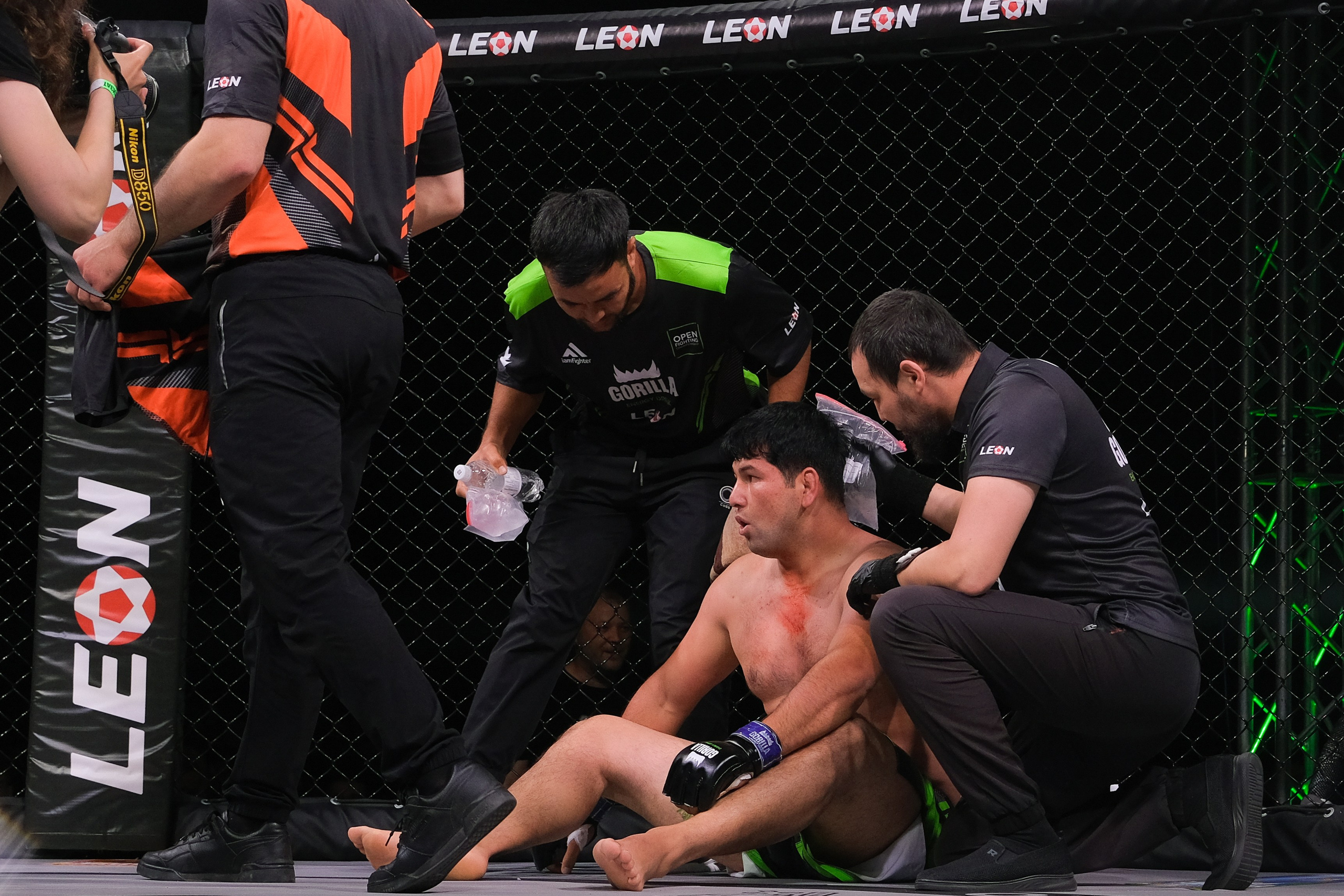 Международные бои ММА. Главная