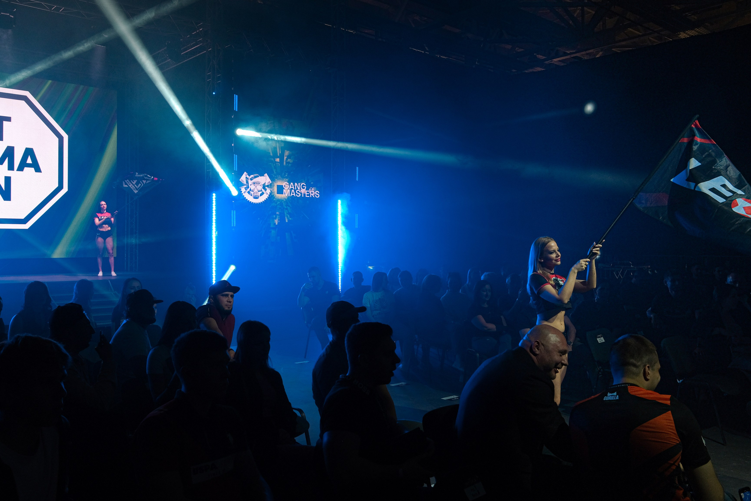 Международные бои ММА. Главная