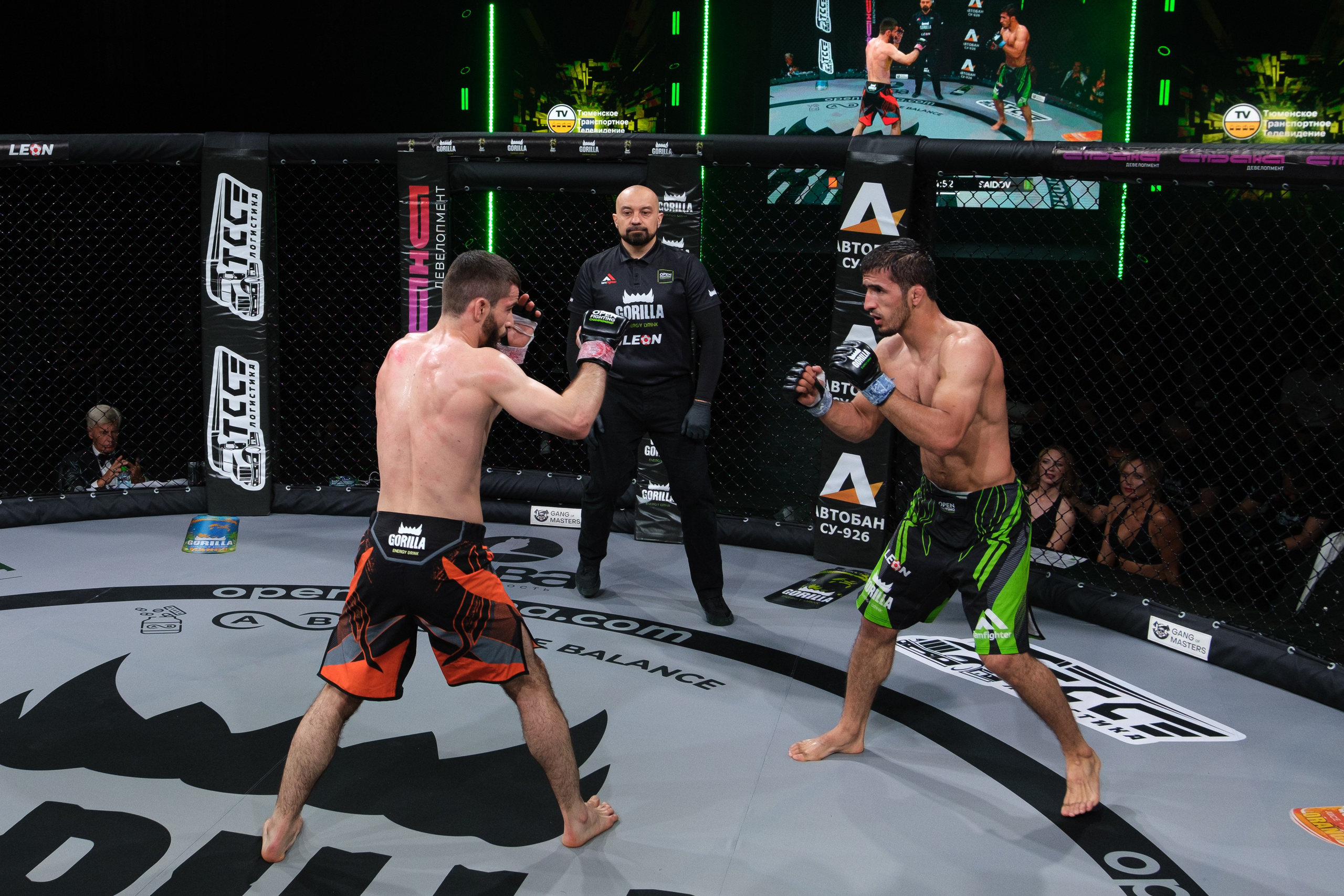 Международные бои ММА. Главная