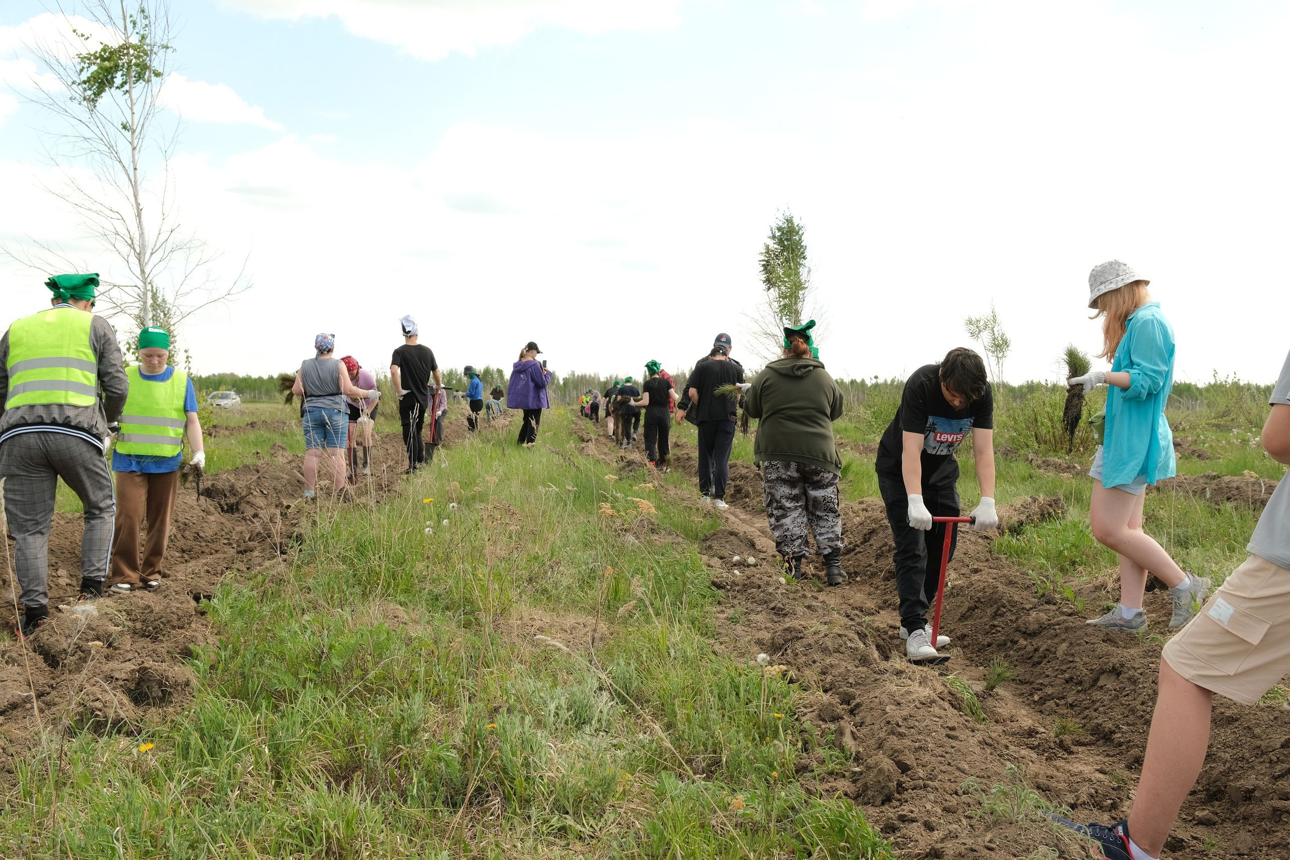 ПАО СИБУР акция «Волонтёры леса». Главная