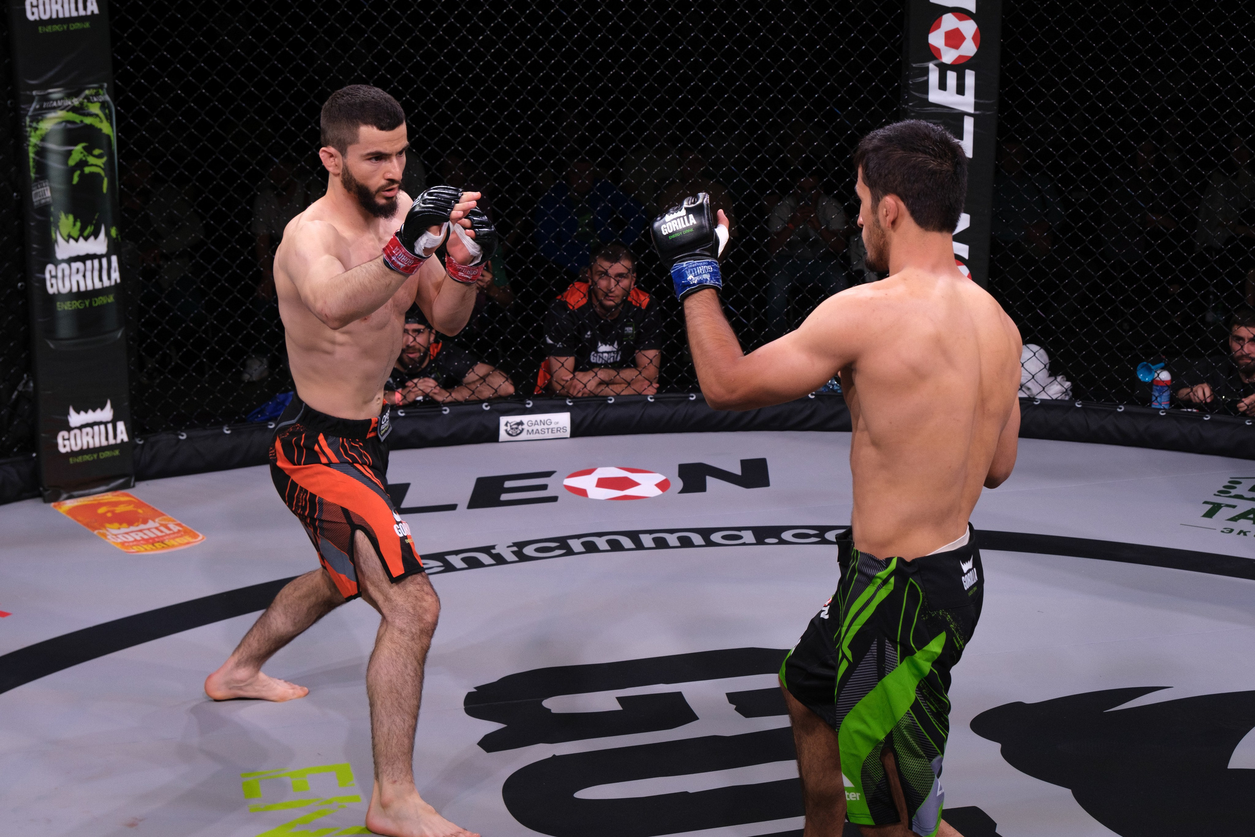 Международные бои ММА. Главная