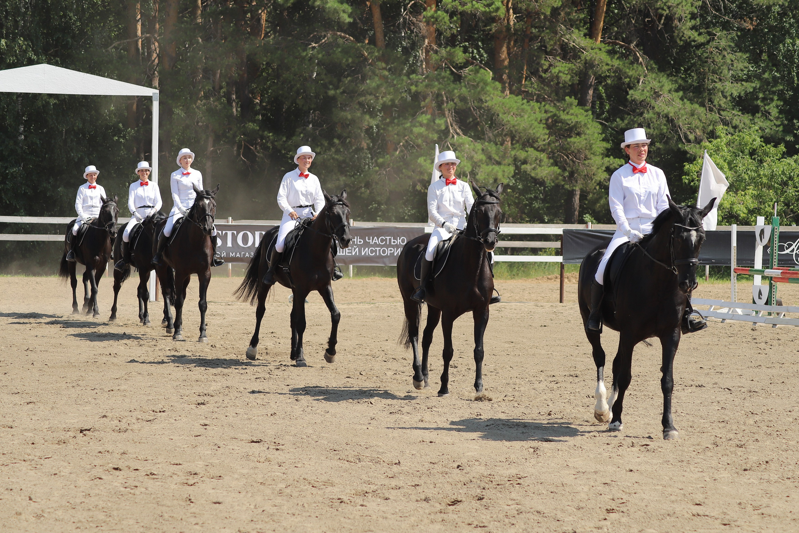 «Гонка фаворитов». Главная