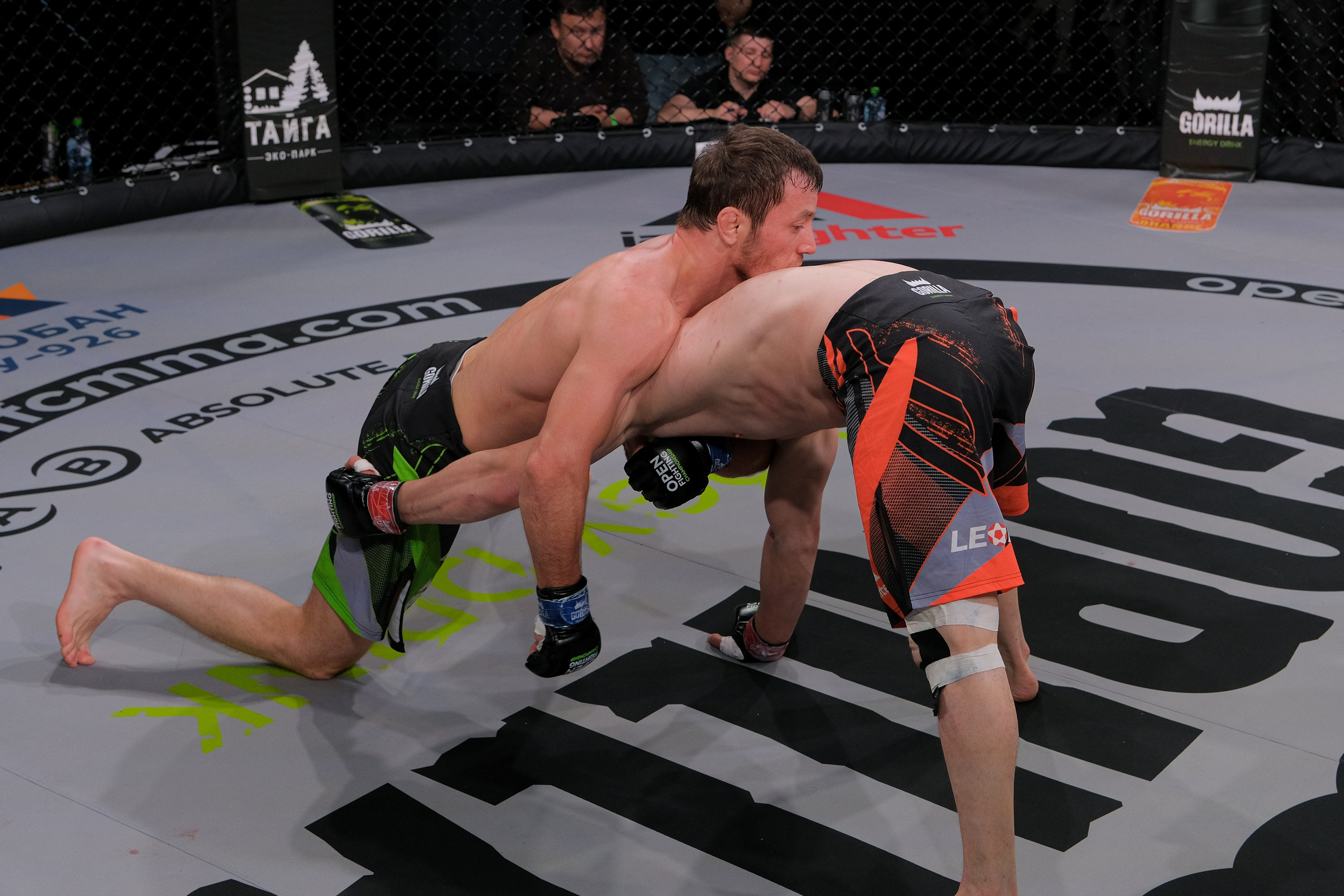 Международные бои ММА. Главная