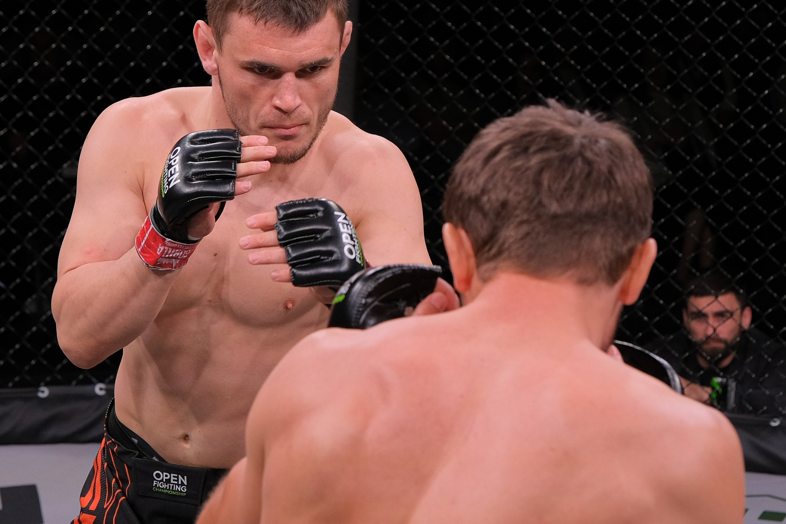 Международные бои ММА. Главная