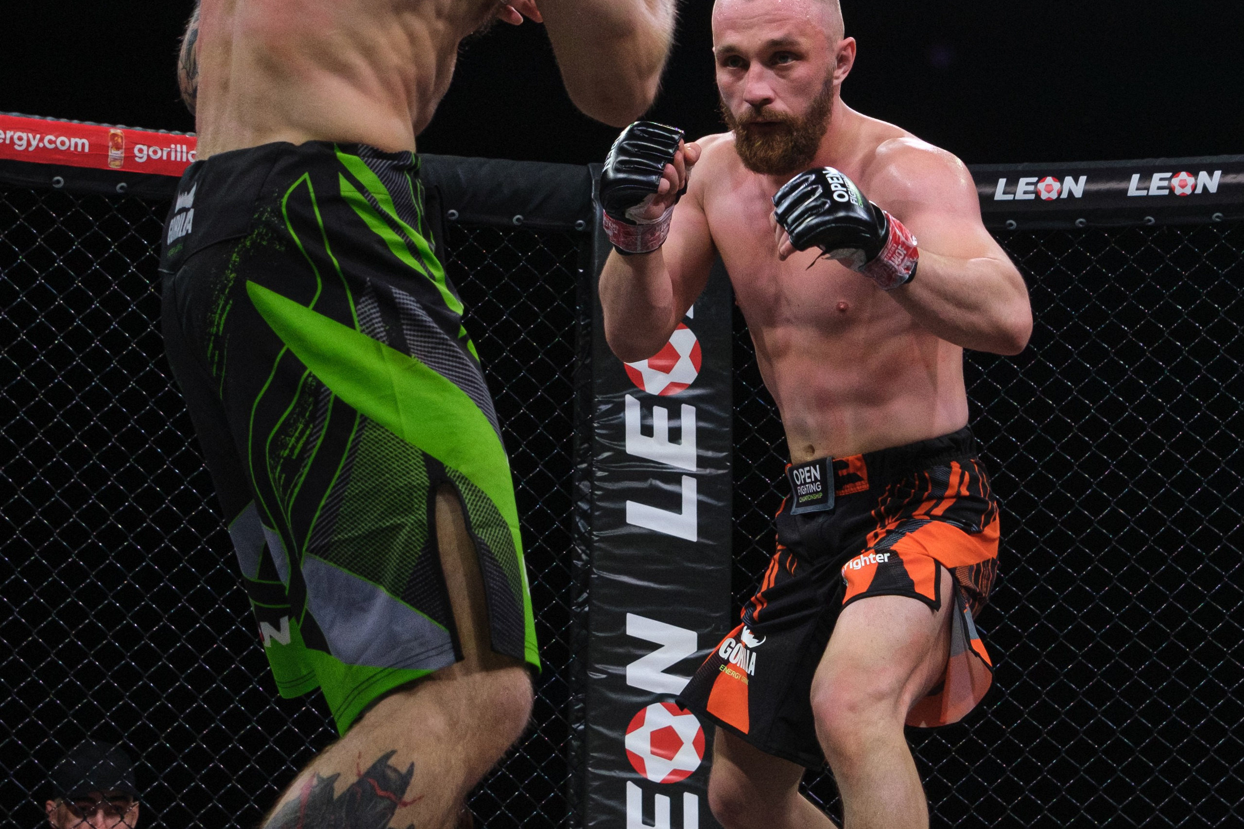 Международные бои ММА. Главная