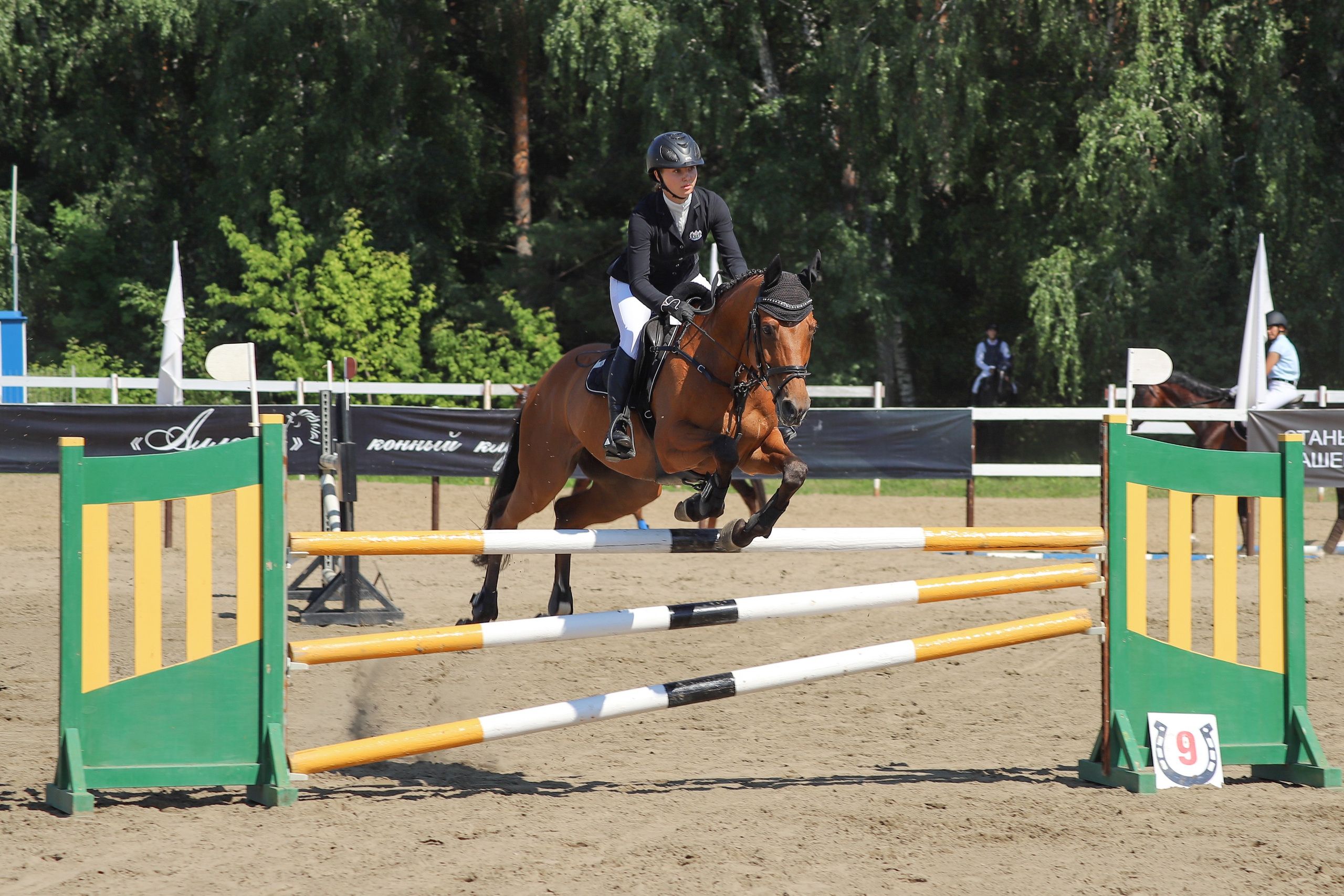 «Гонка фаворитов». Главная