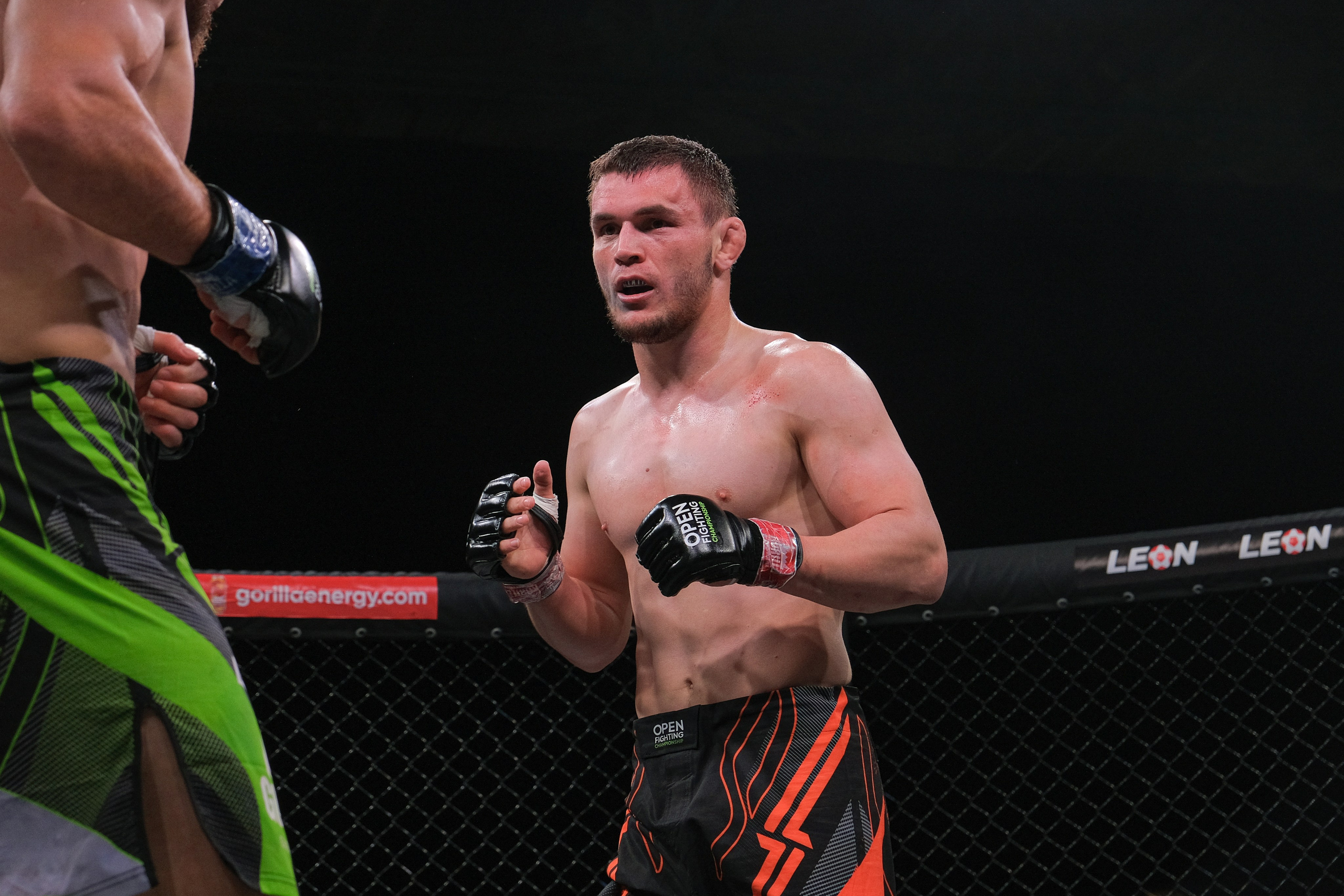 Международные бои ММА. Главная