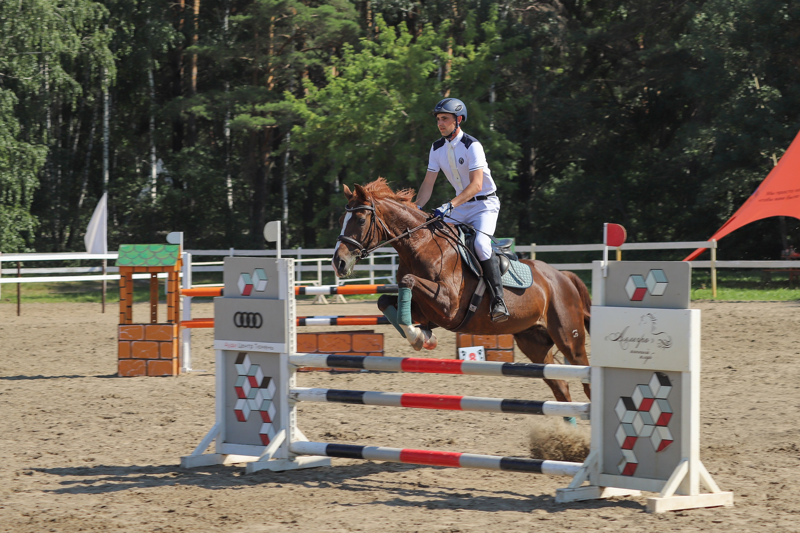 «Гонка фаворитов». Главная