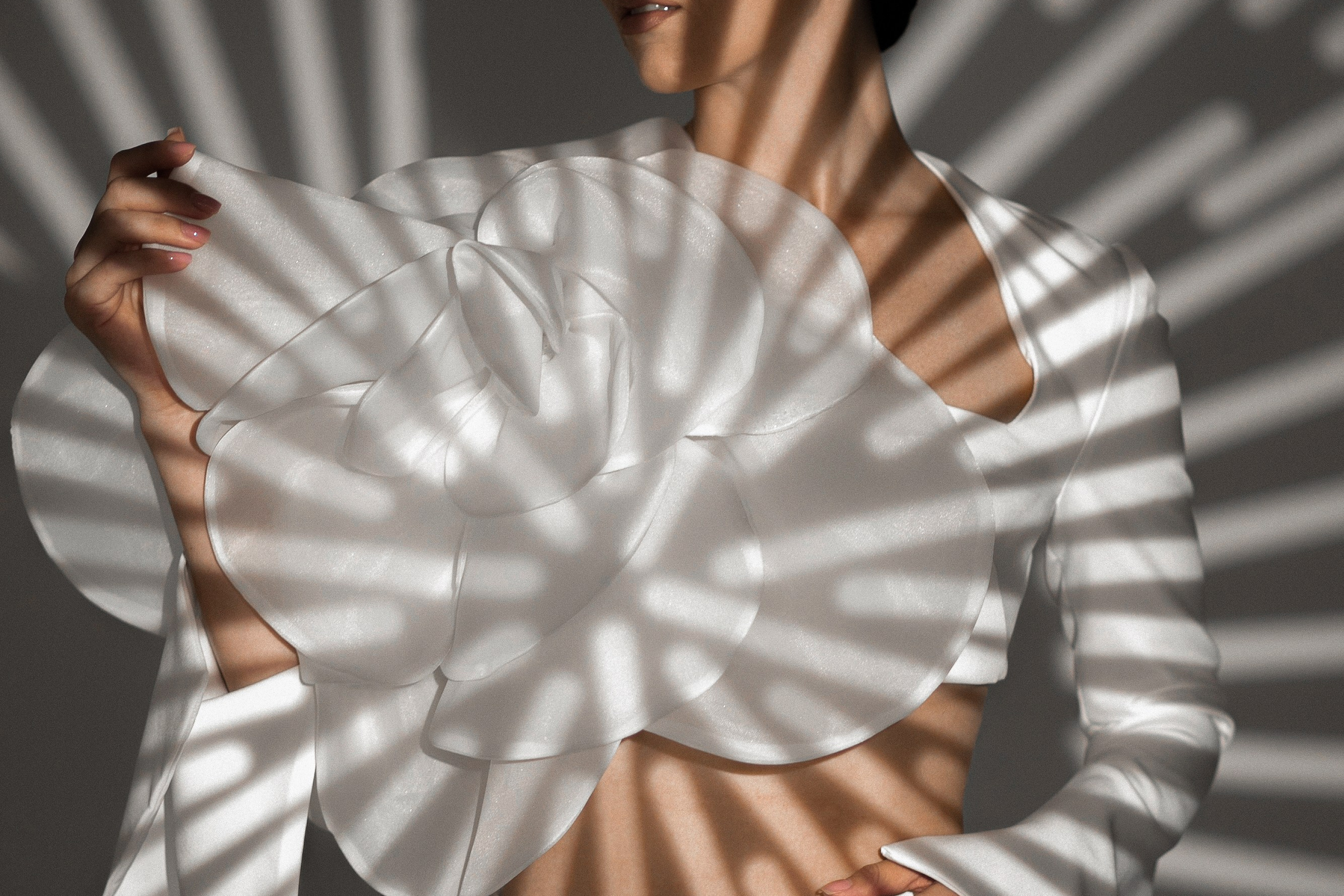 Elegance. Главная