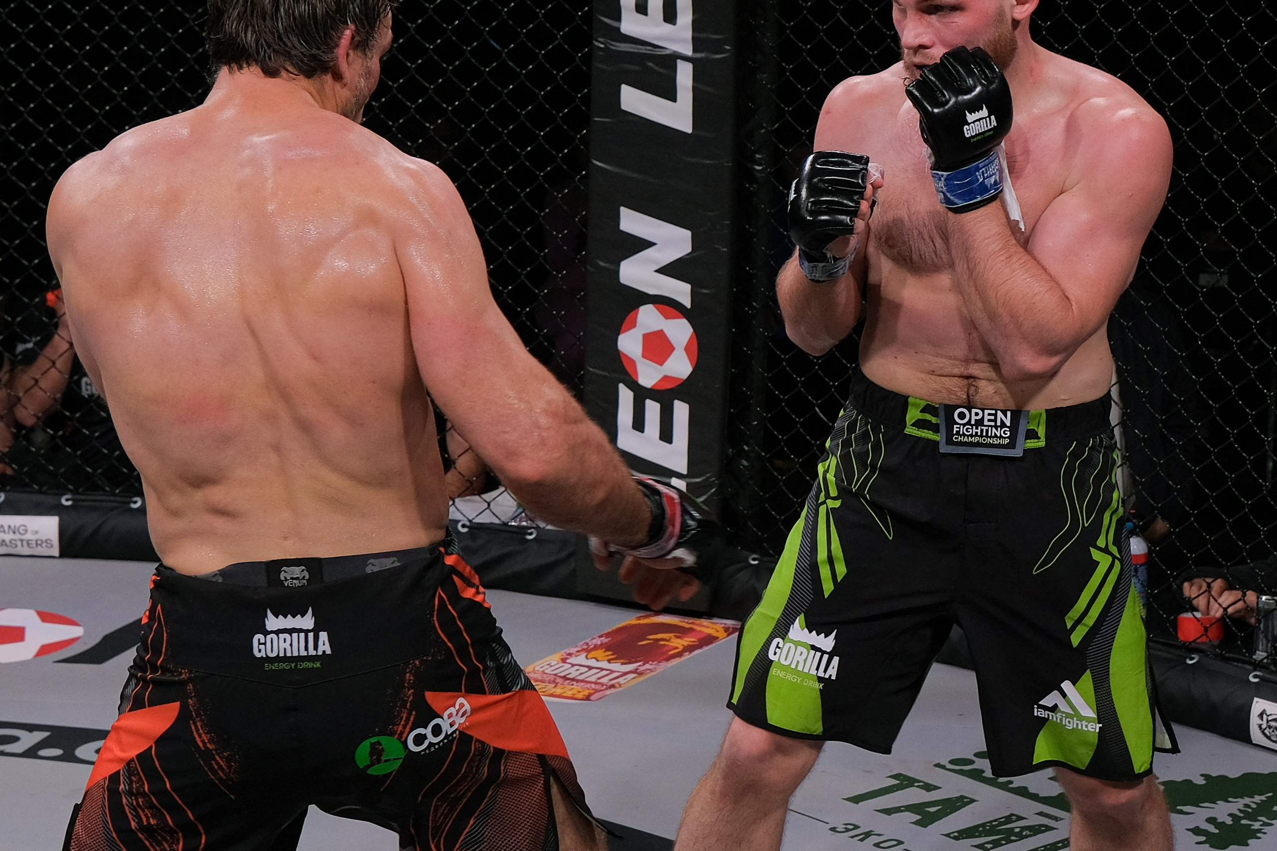 Международные бои ММА. Главная