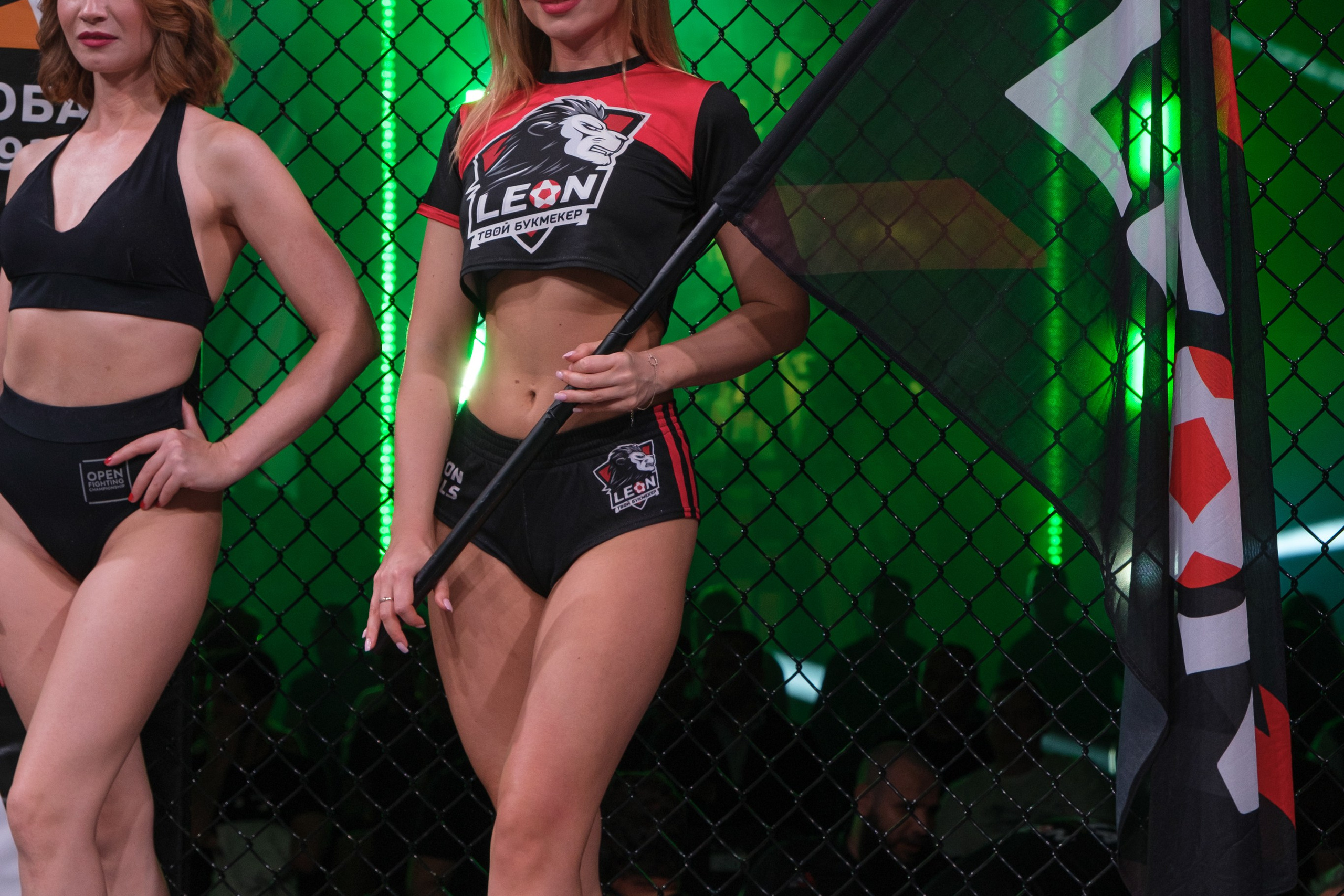 Международные бои ММА. Главная