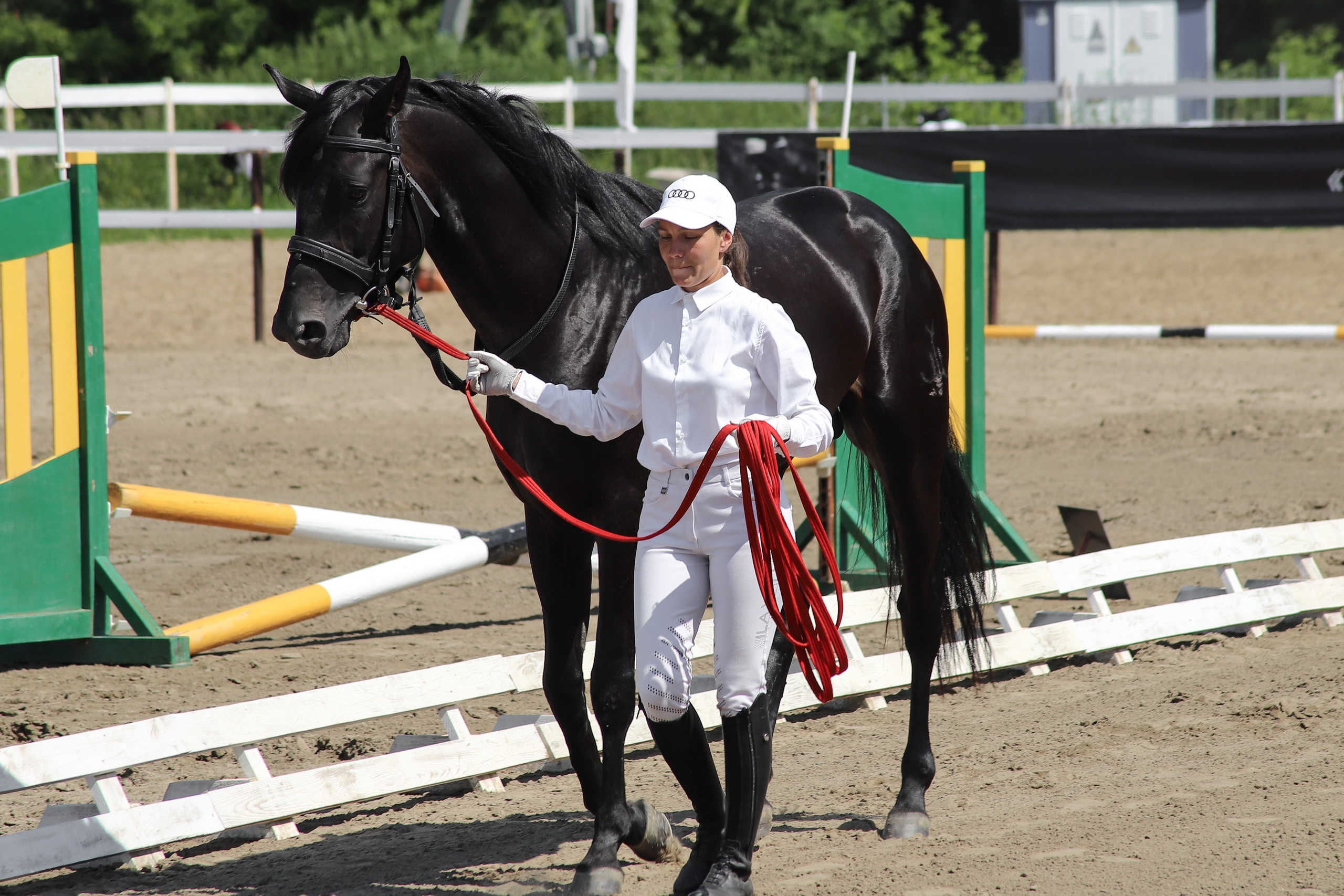 «Гонка фаворитов». Главная