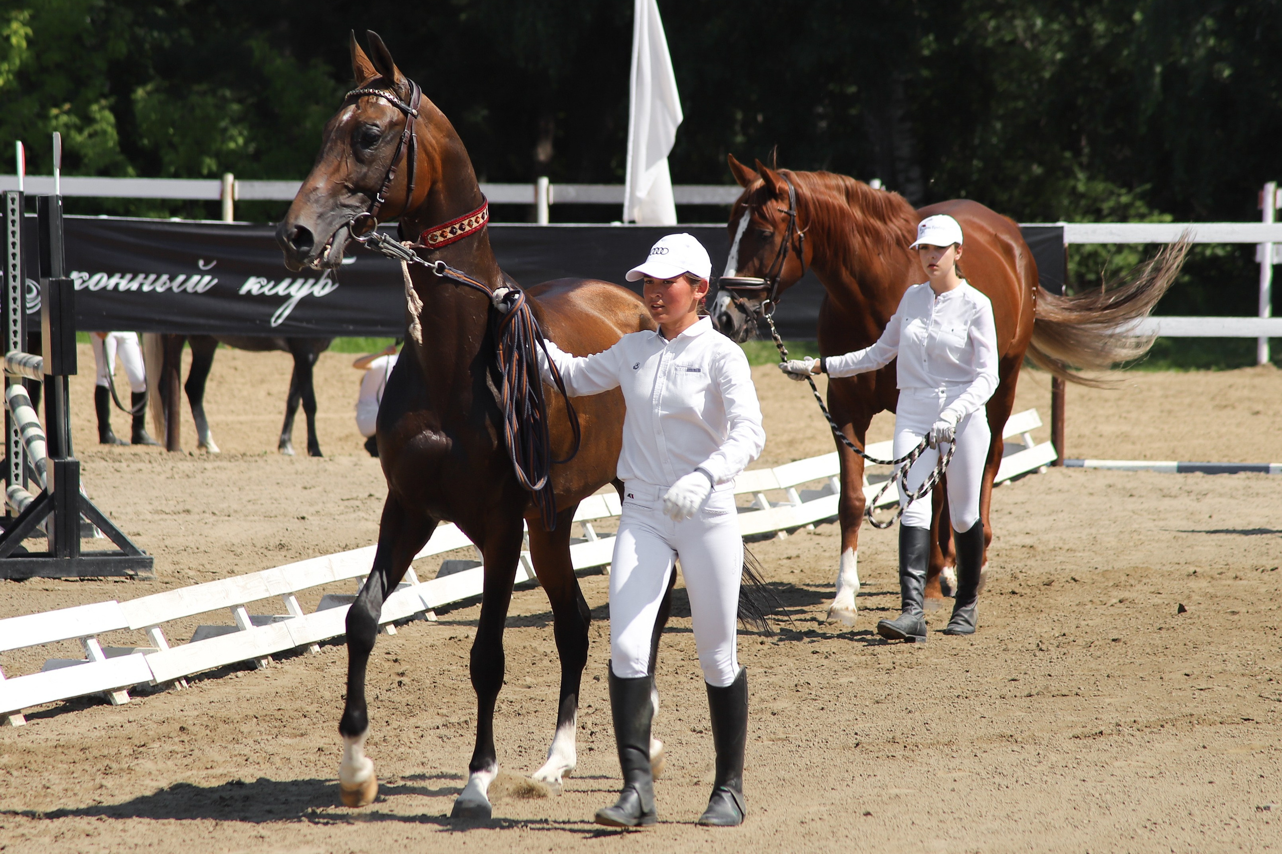 «Гонка фаворитов». Главная