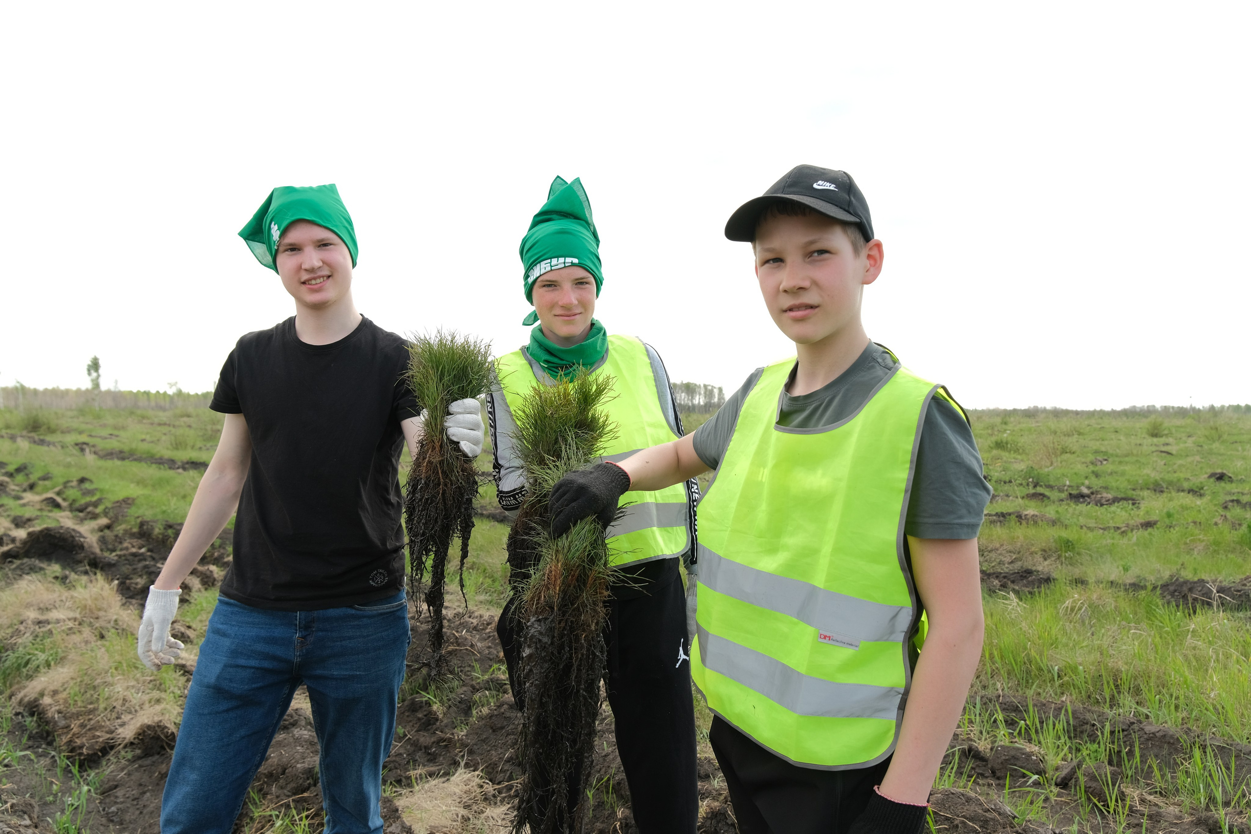 ПАО СИБУР акция «Волонтёры леса». Главная