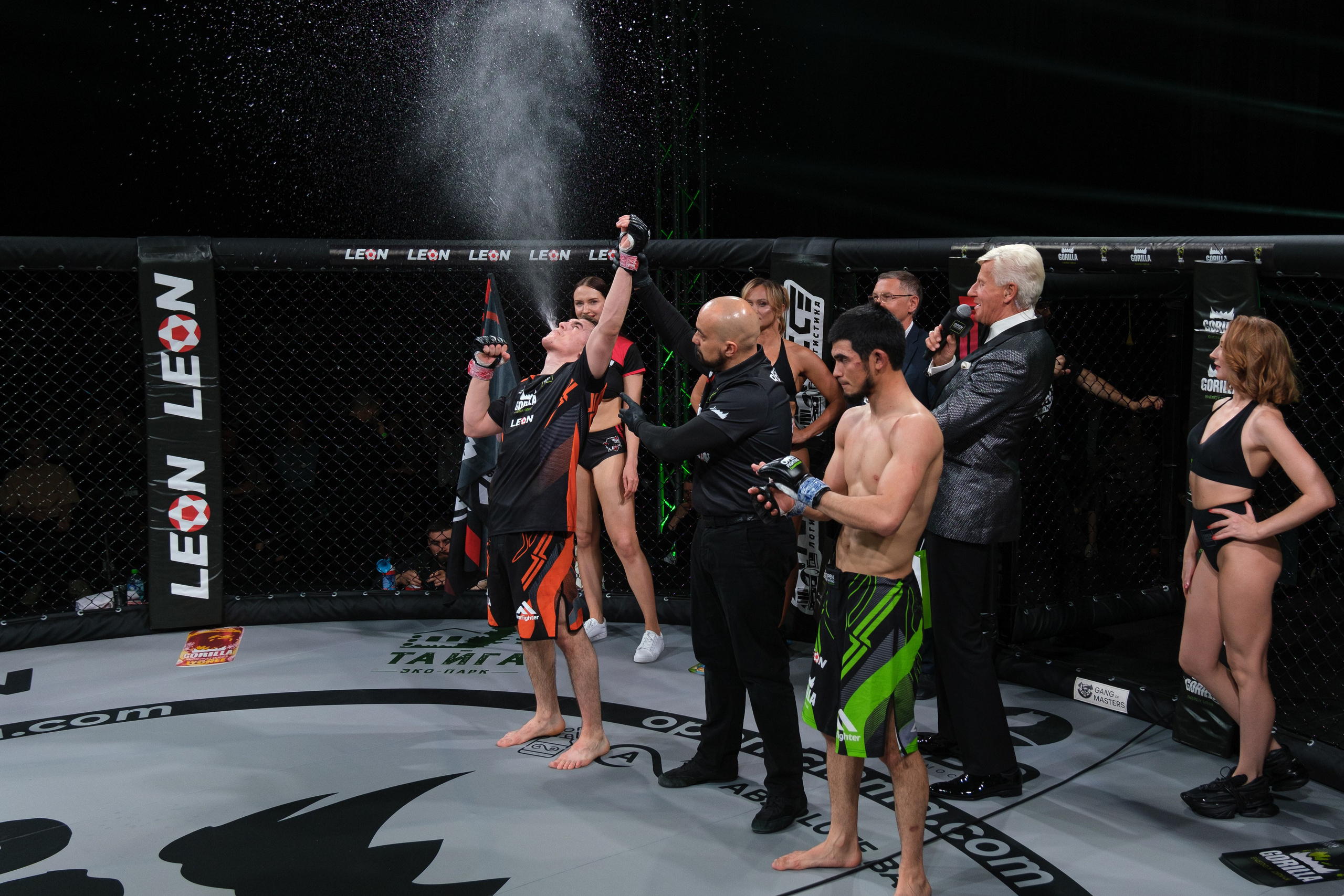 Международные бои ММА. Главная