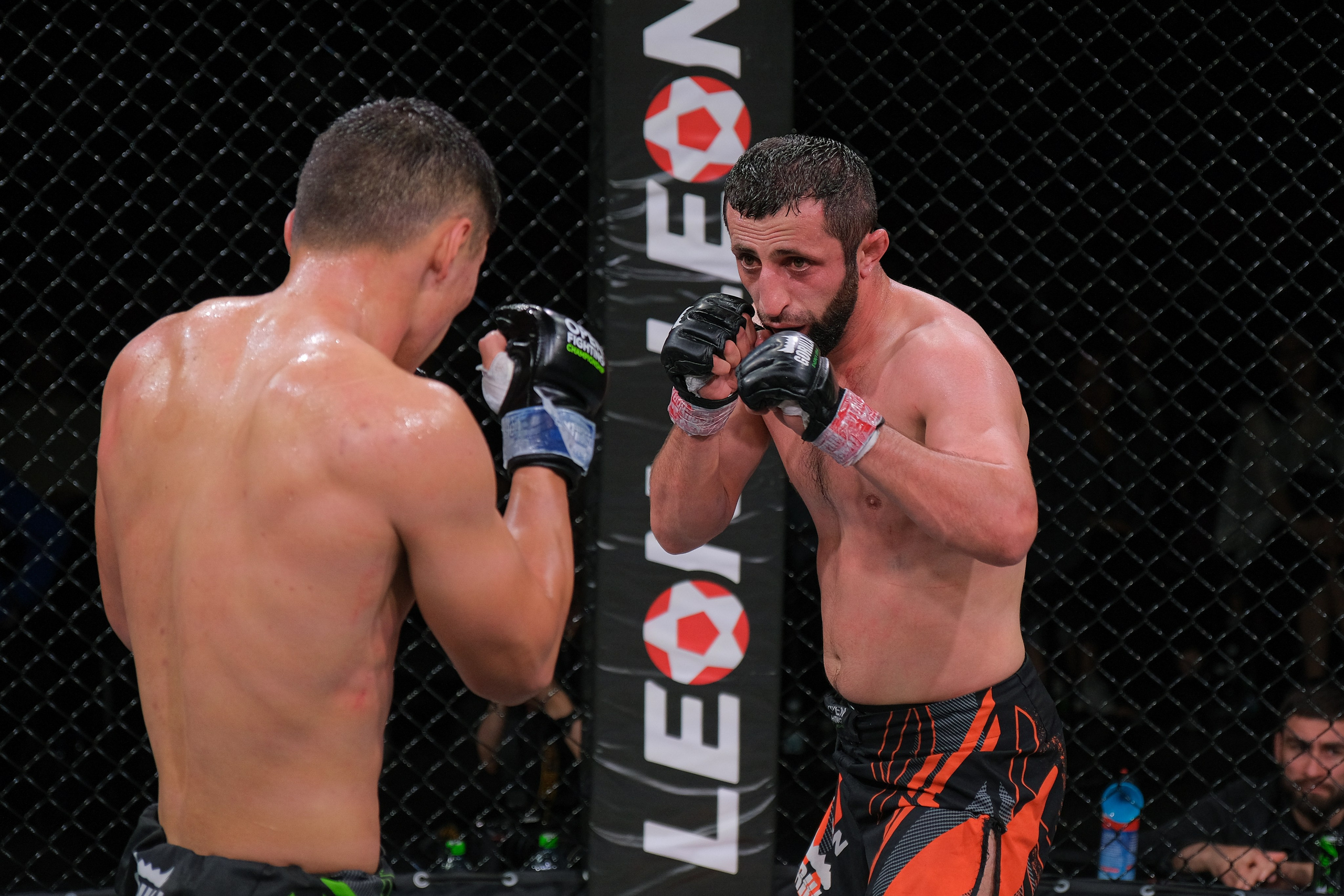 Международные бои ММА. Главная