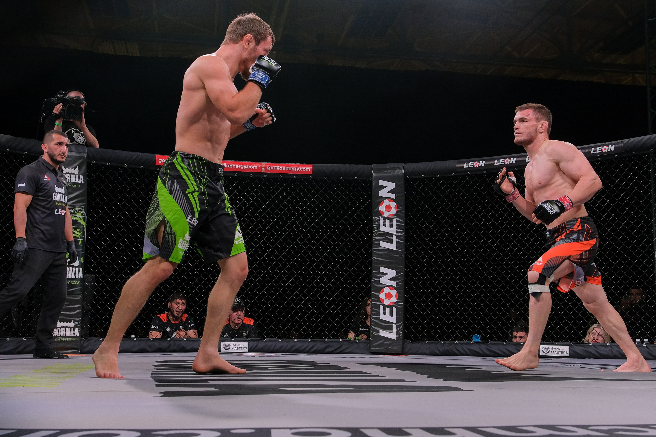 Международные бои ММА. Главная