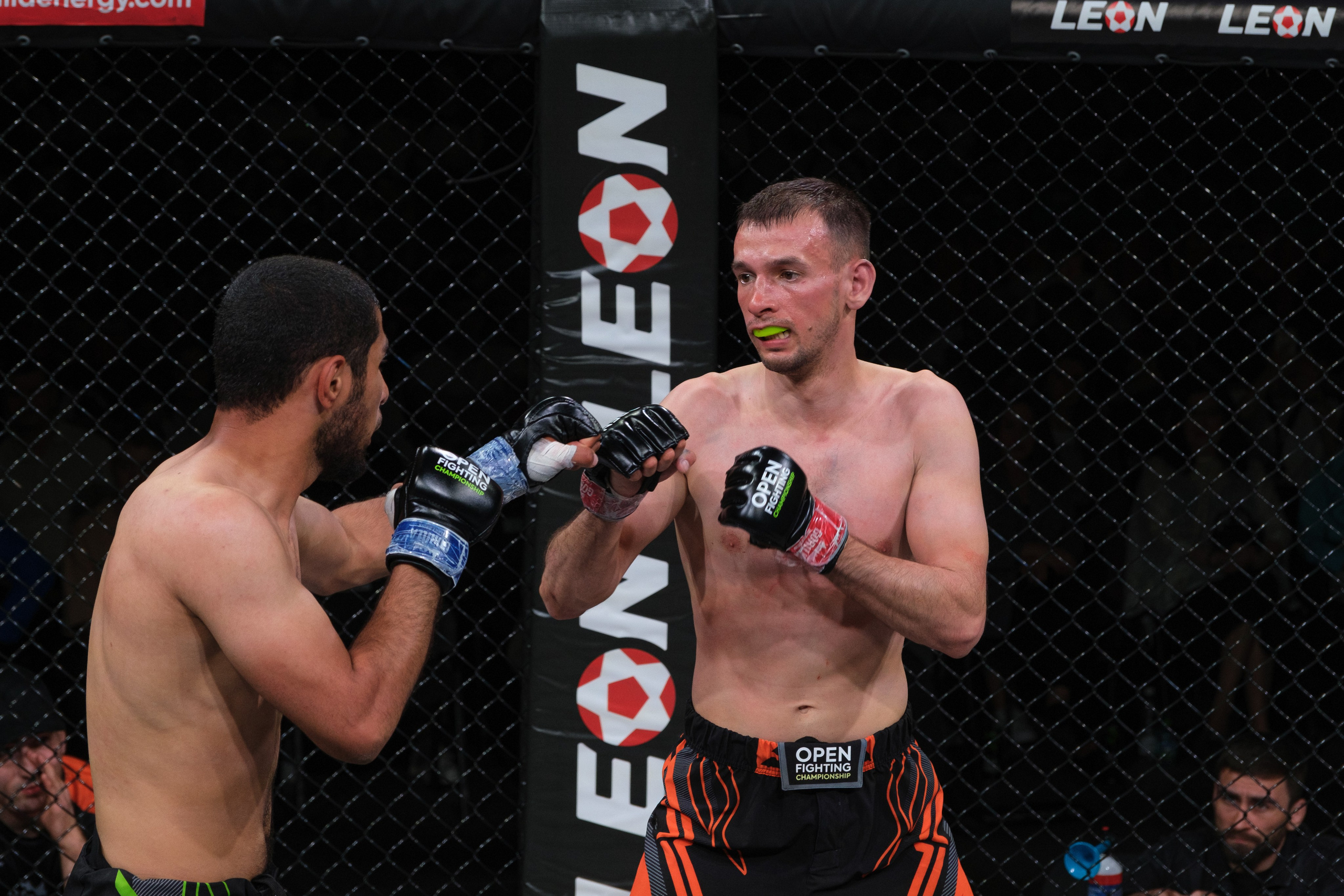 Международные бои ММА. Главная