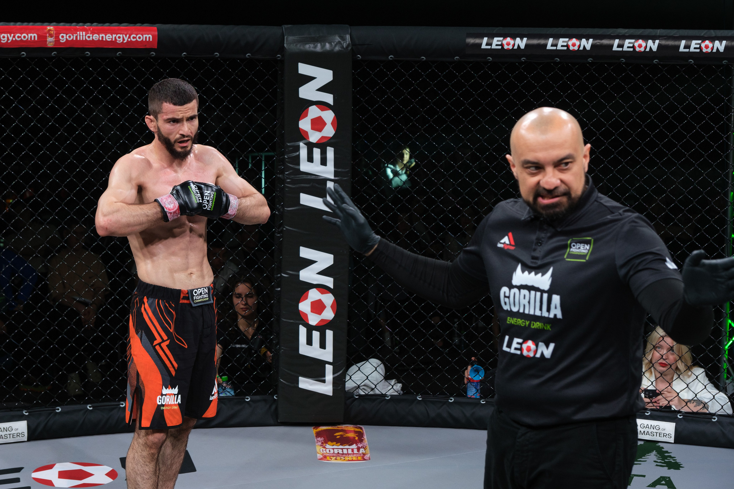 Международные бои ММА. Главная