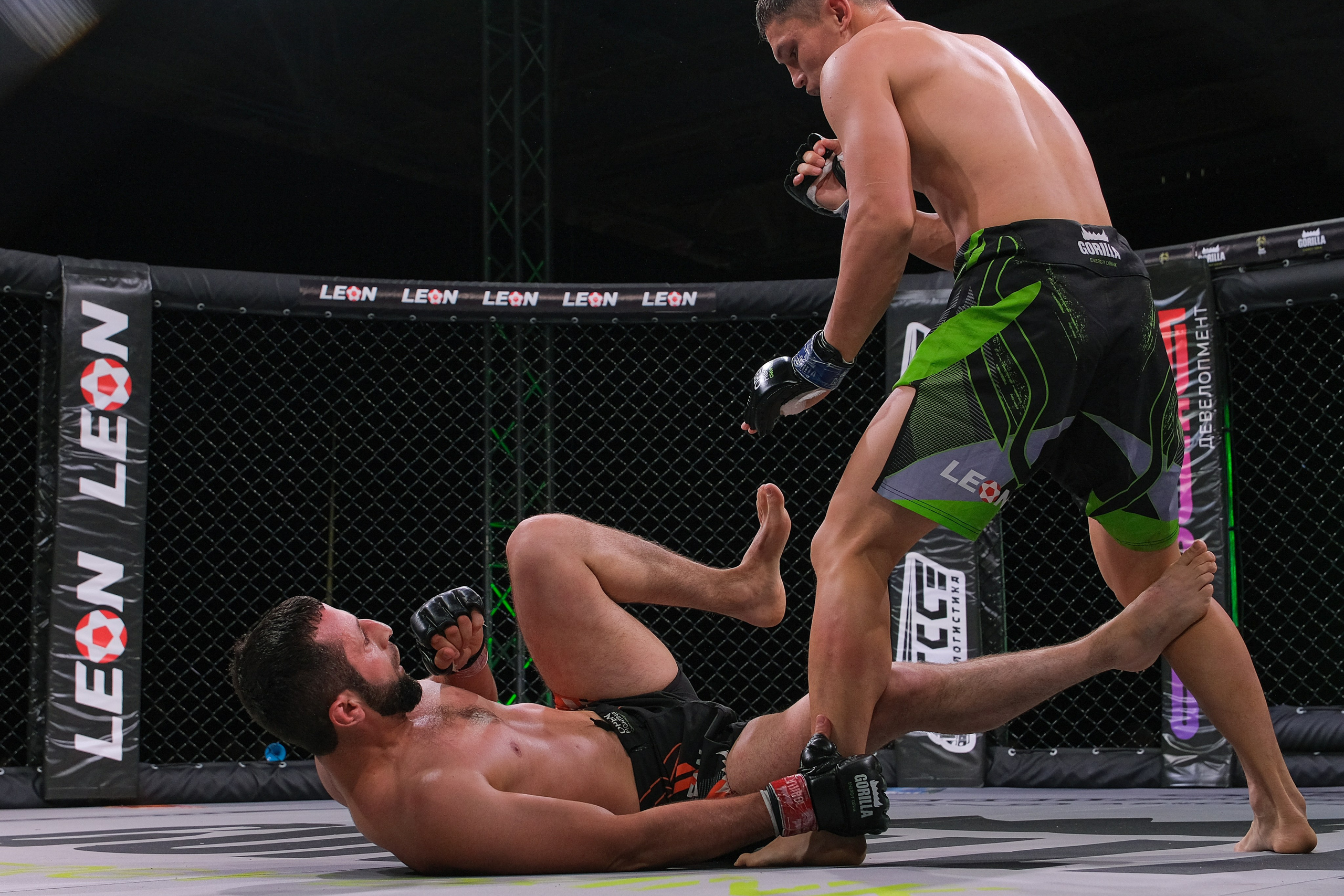 Международные бои ММА. Главная