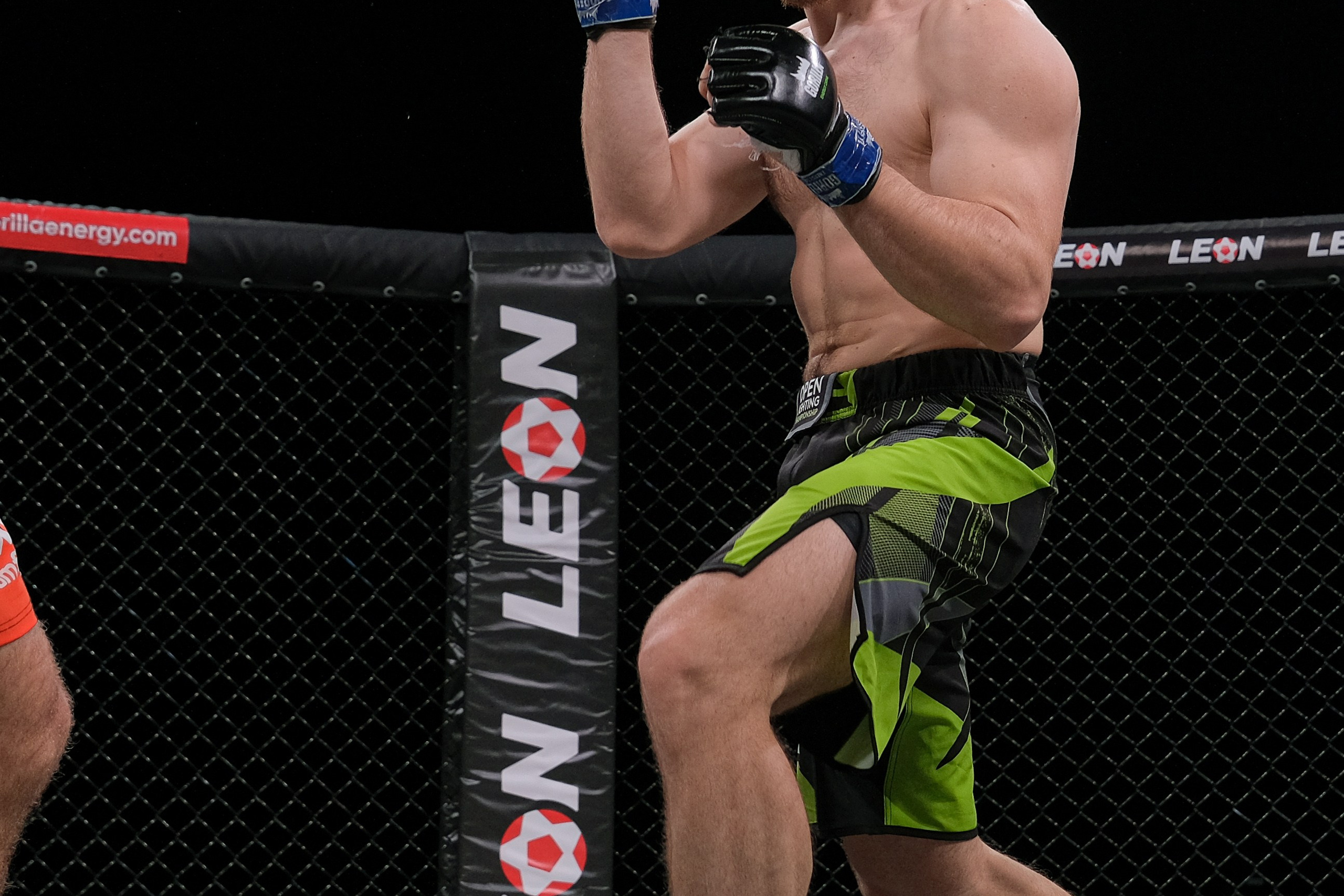 Международные бои ММА. Главная