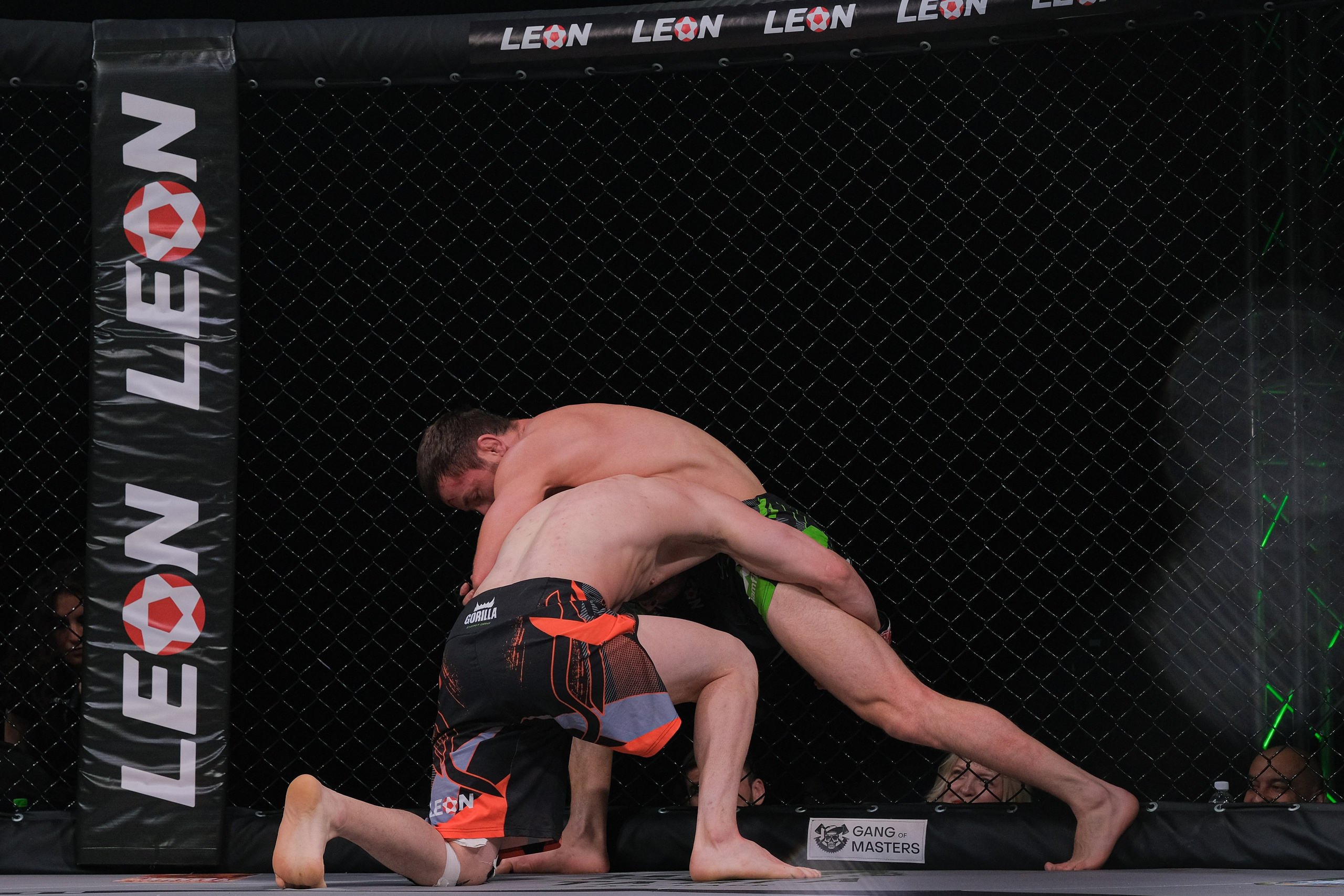 Международные бои ММА. Главная