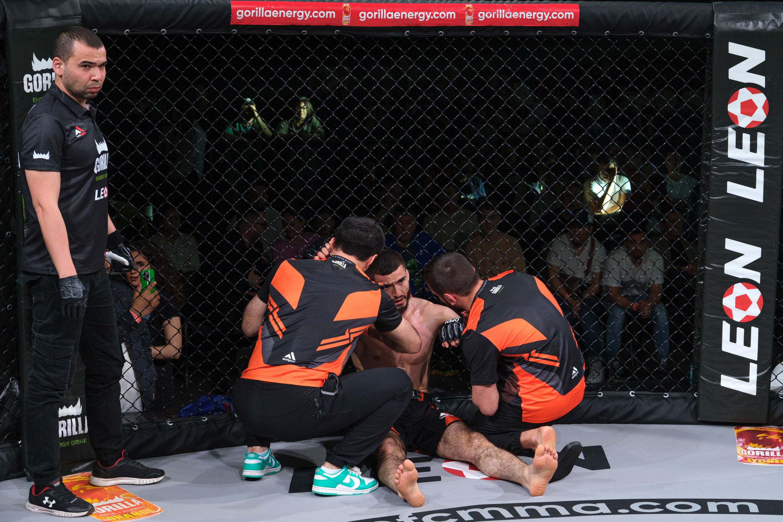 Международные бои ММА. Главная