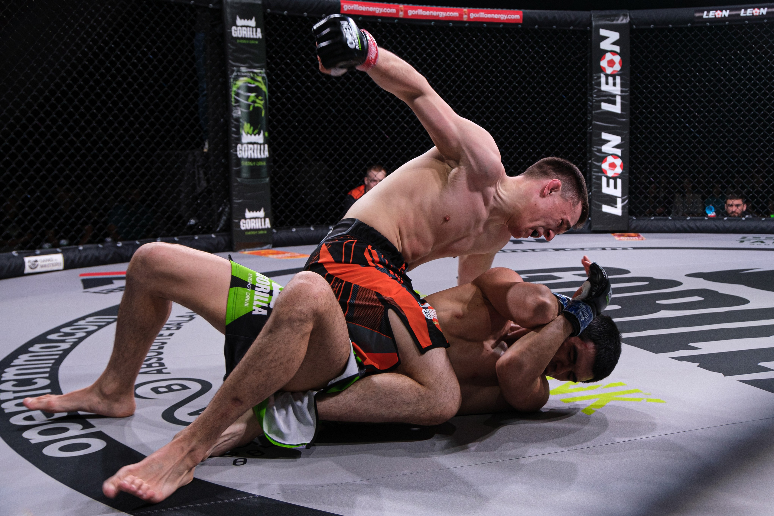 Международные бои ММА. Главная