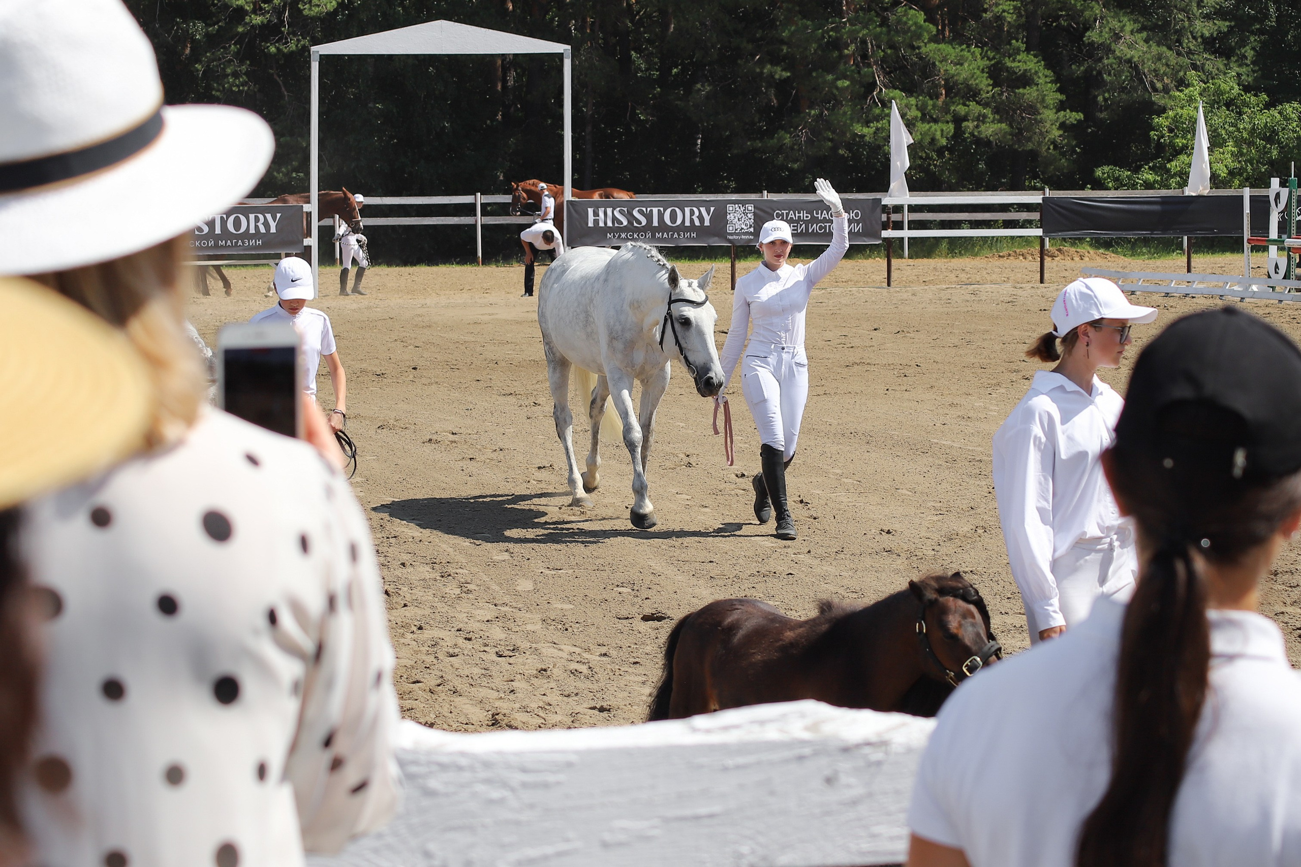 «Гонка фаворитов». Главная