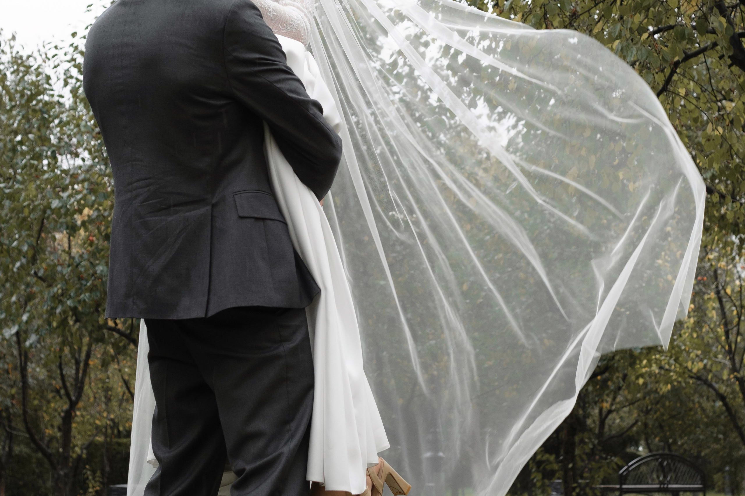 Summer rain. Главная