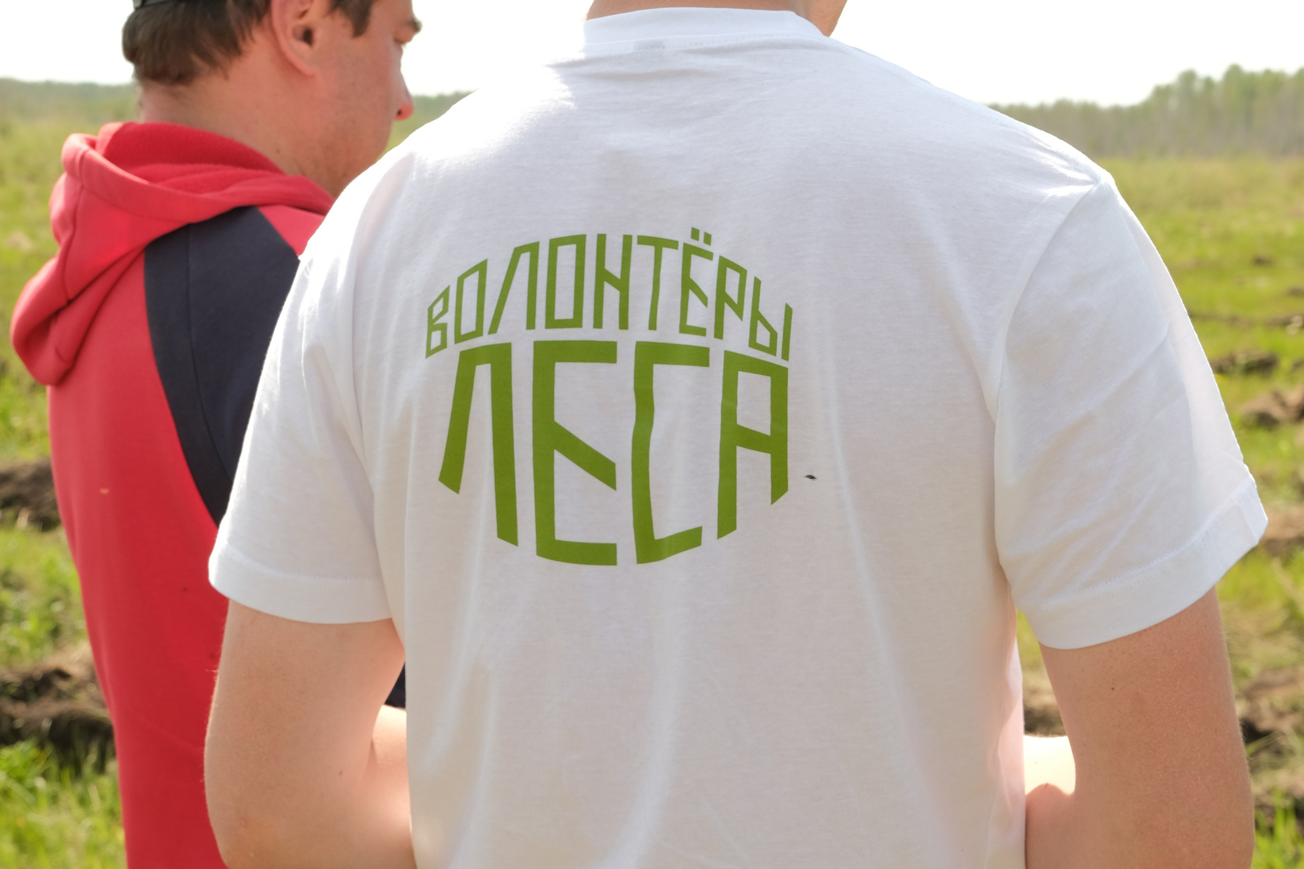 ПАО СИБУР акция «Волонтёры леса». Главная