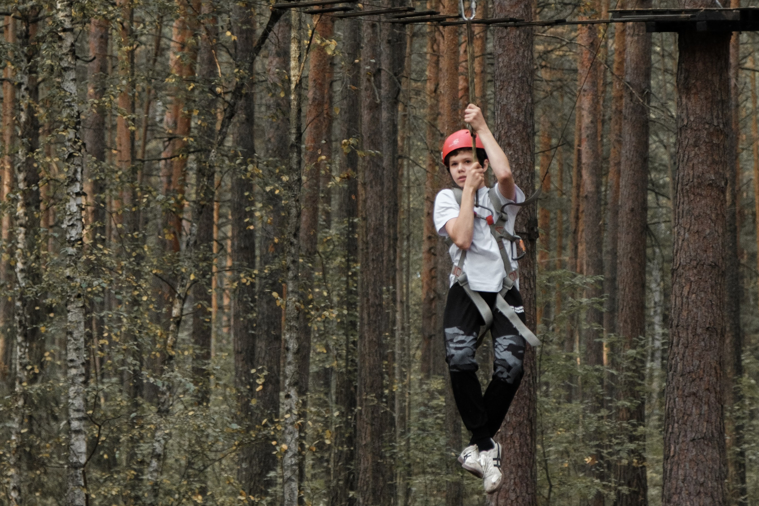 Корпоратив в Усадьбе. Главная