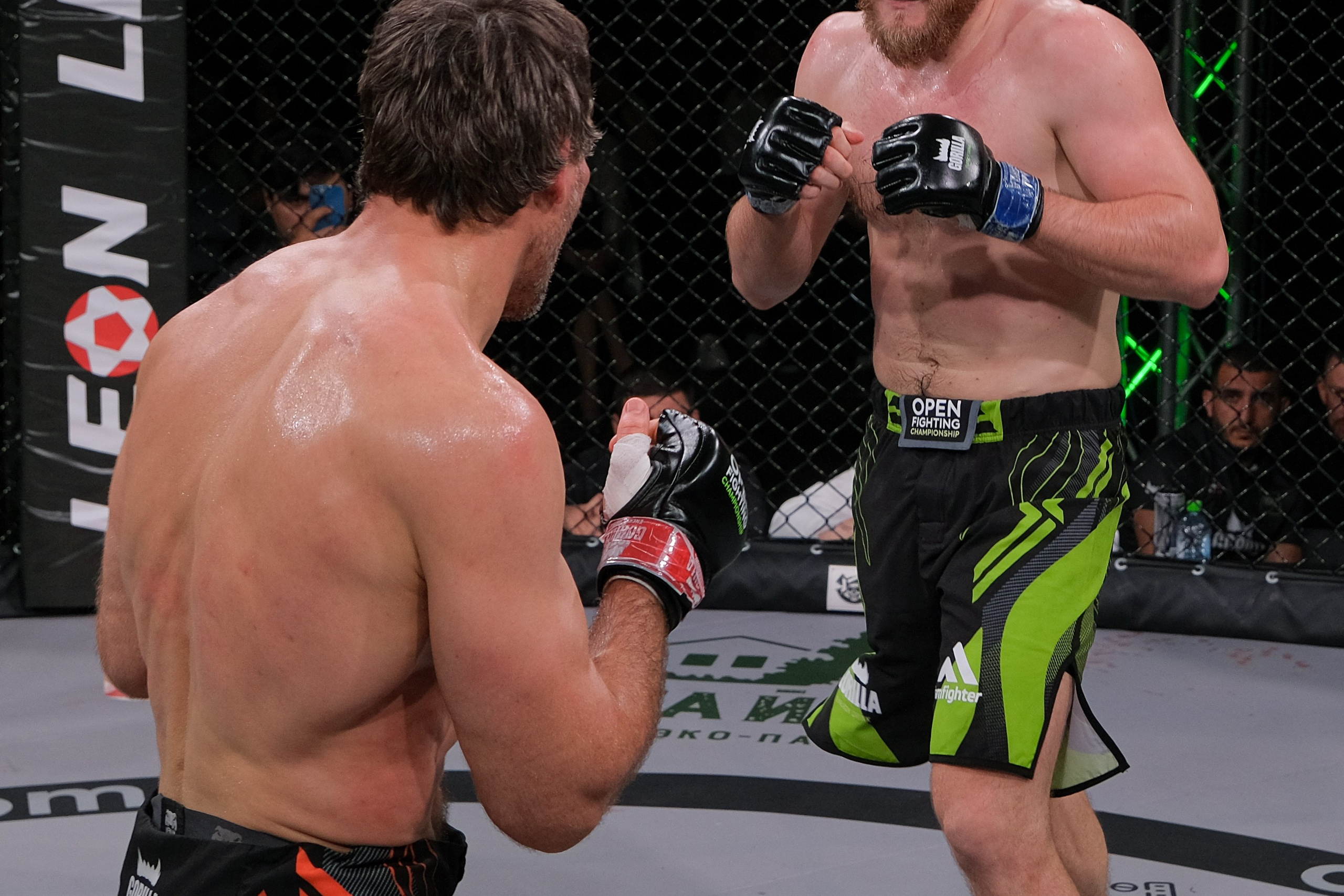 Международные бои ММА. Главная