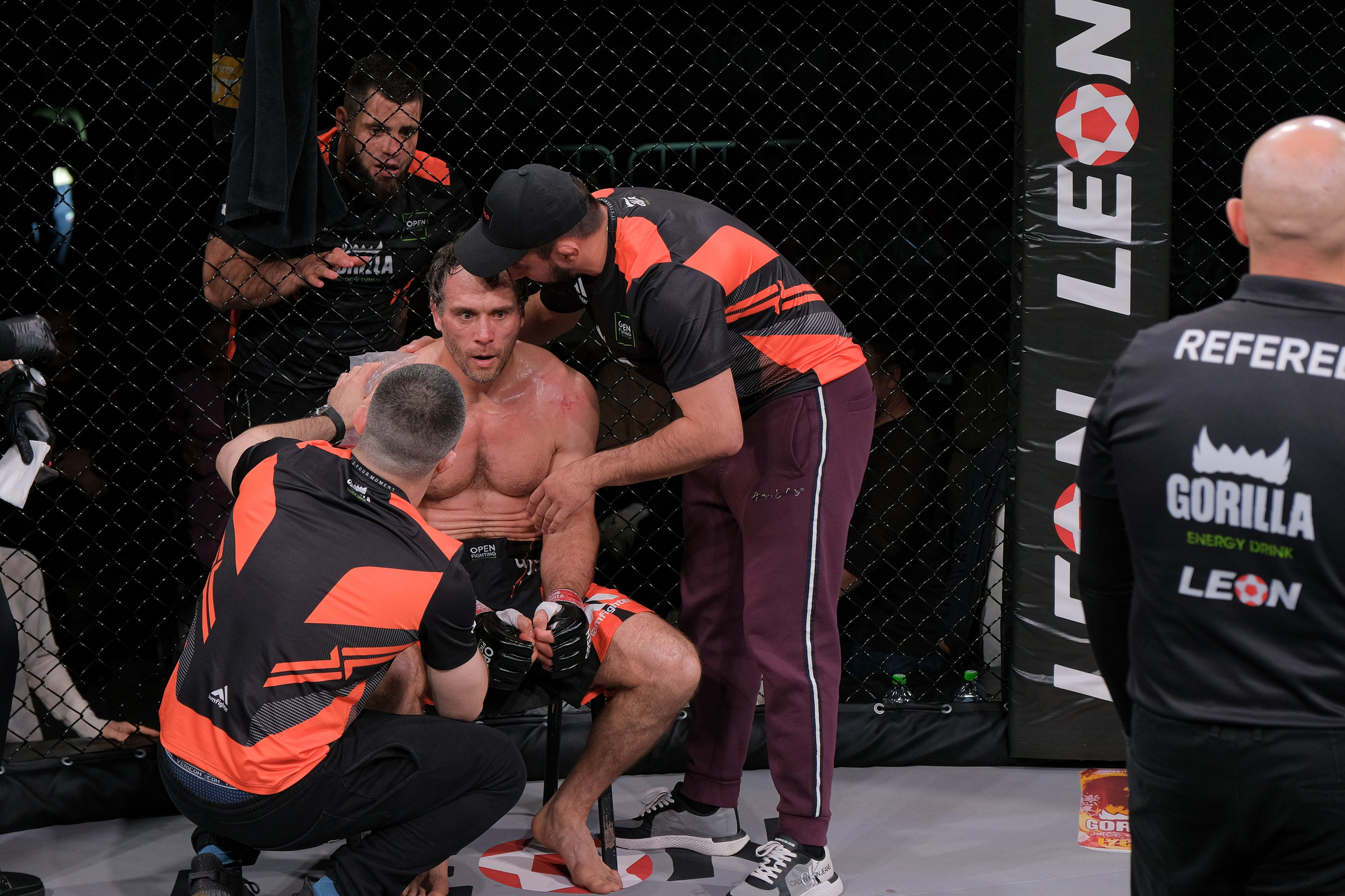 Международные бои ММА. Главная