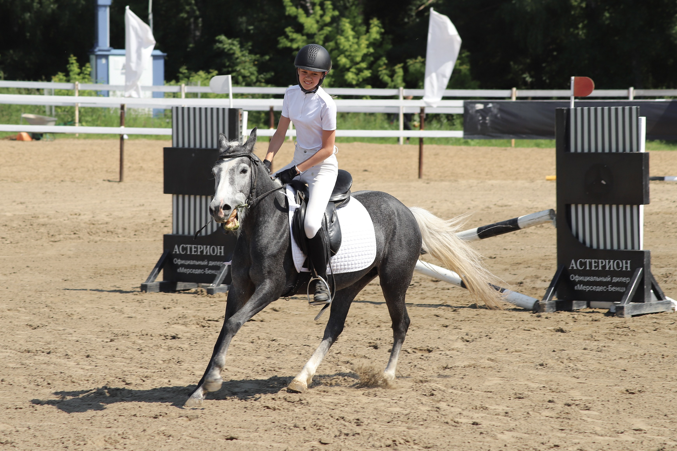 «Гонка фаворитов». Главная