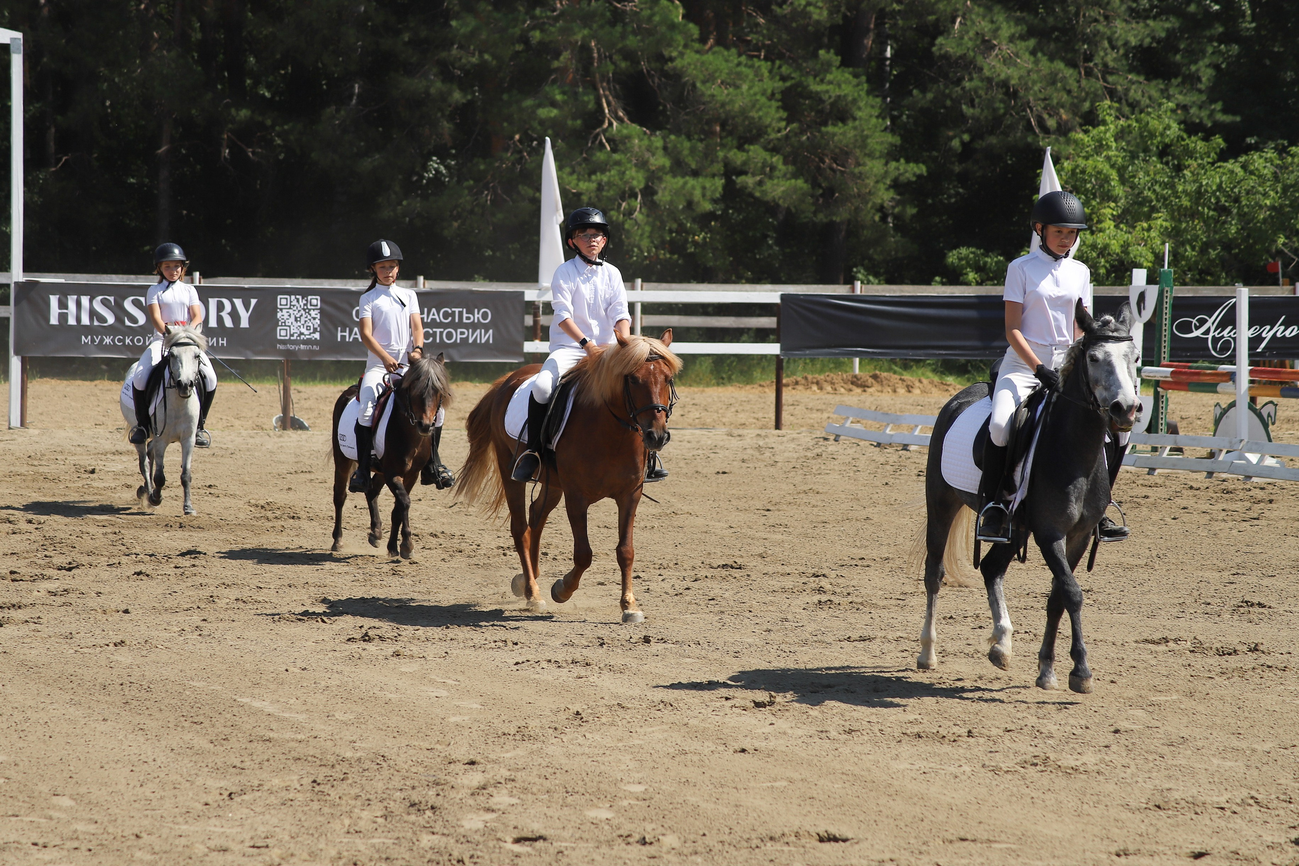«Гонка фаворитов». Главная
