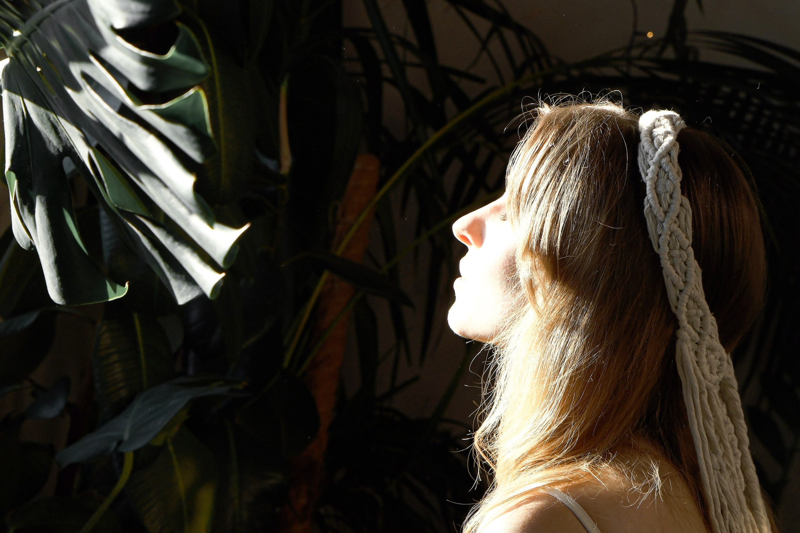 Hippies. Главная