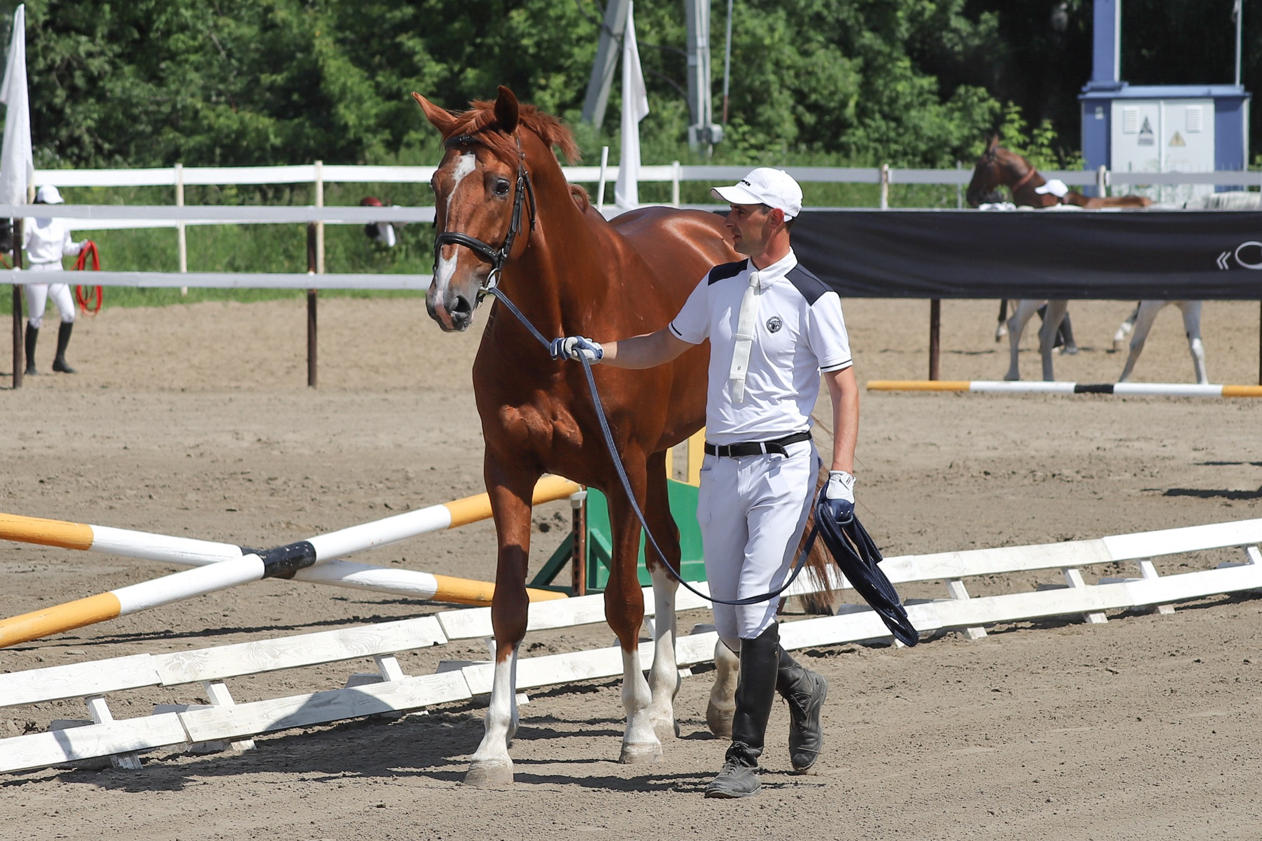 «Гонка фаворитов». Главная