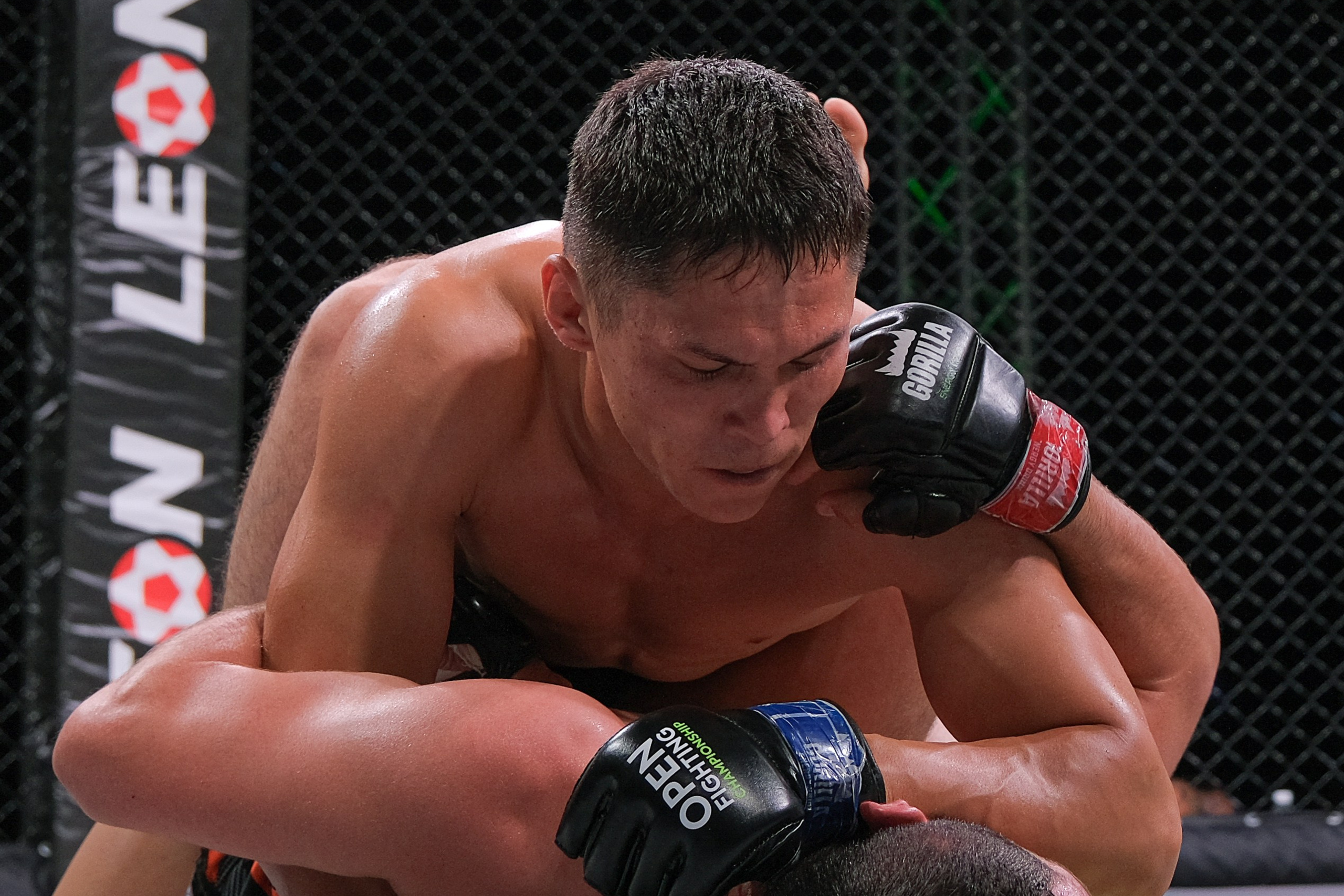 Международные бои ММА. Главная