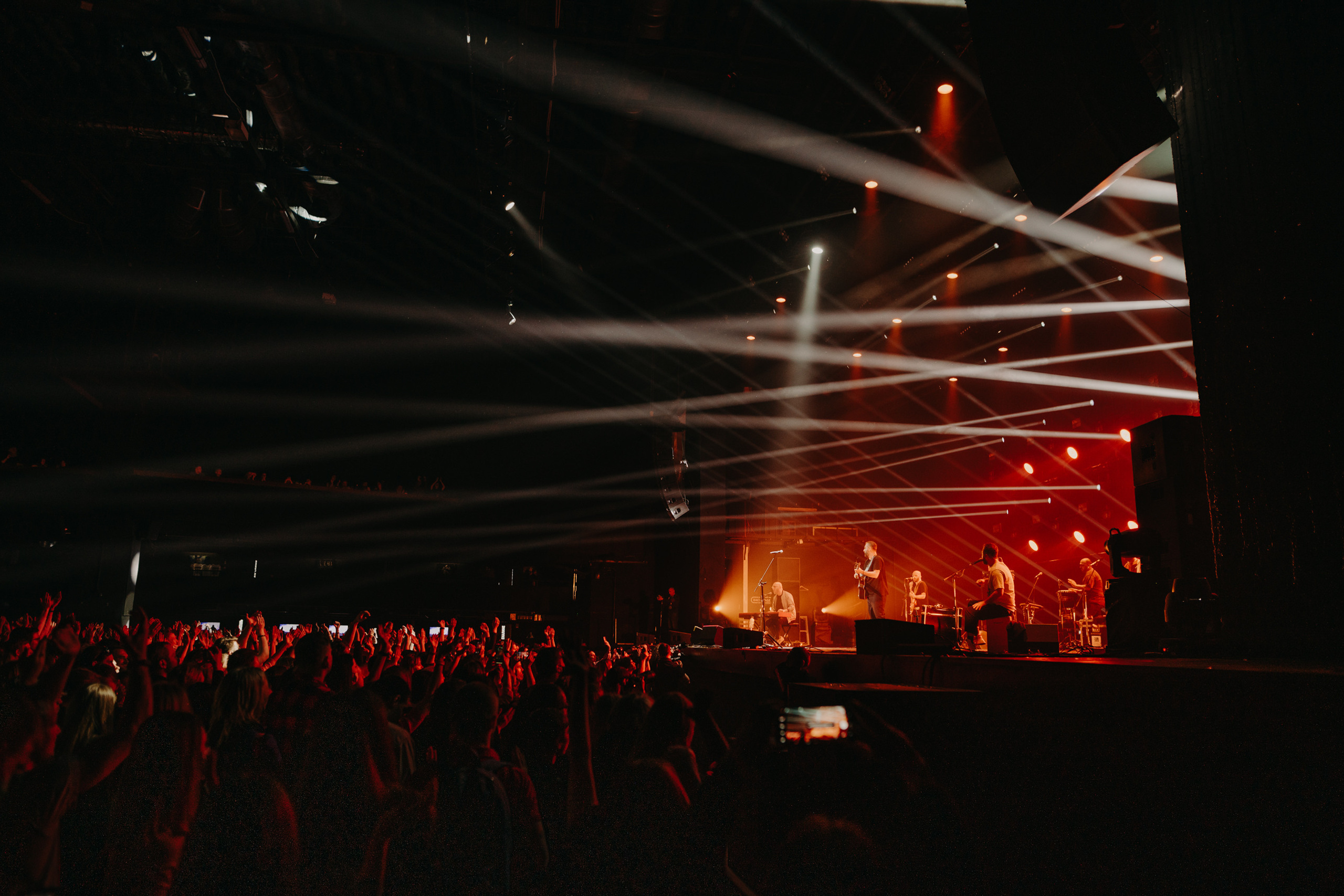 группа «Mgzavrebi»