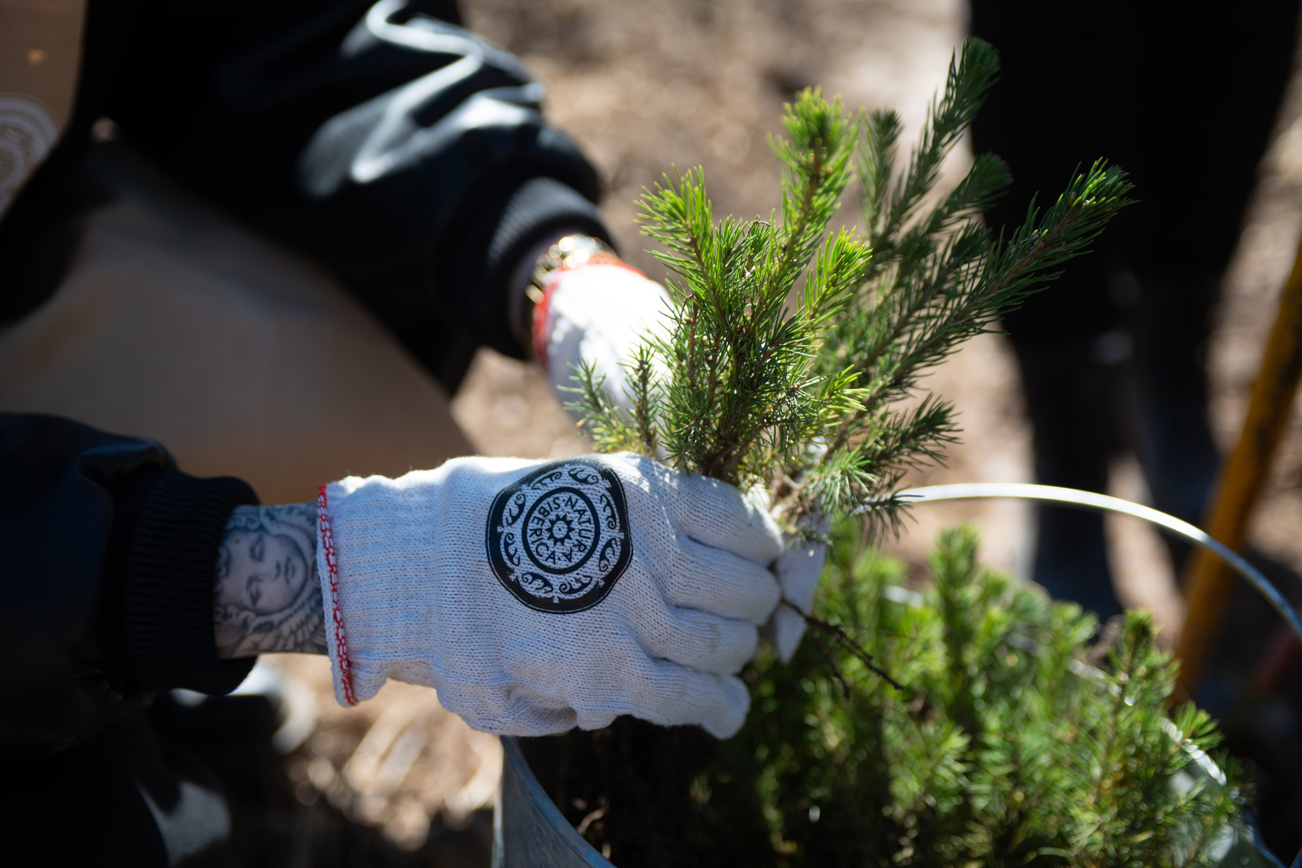 Репортажная фотосъёмка для Natura Siberica