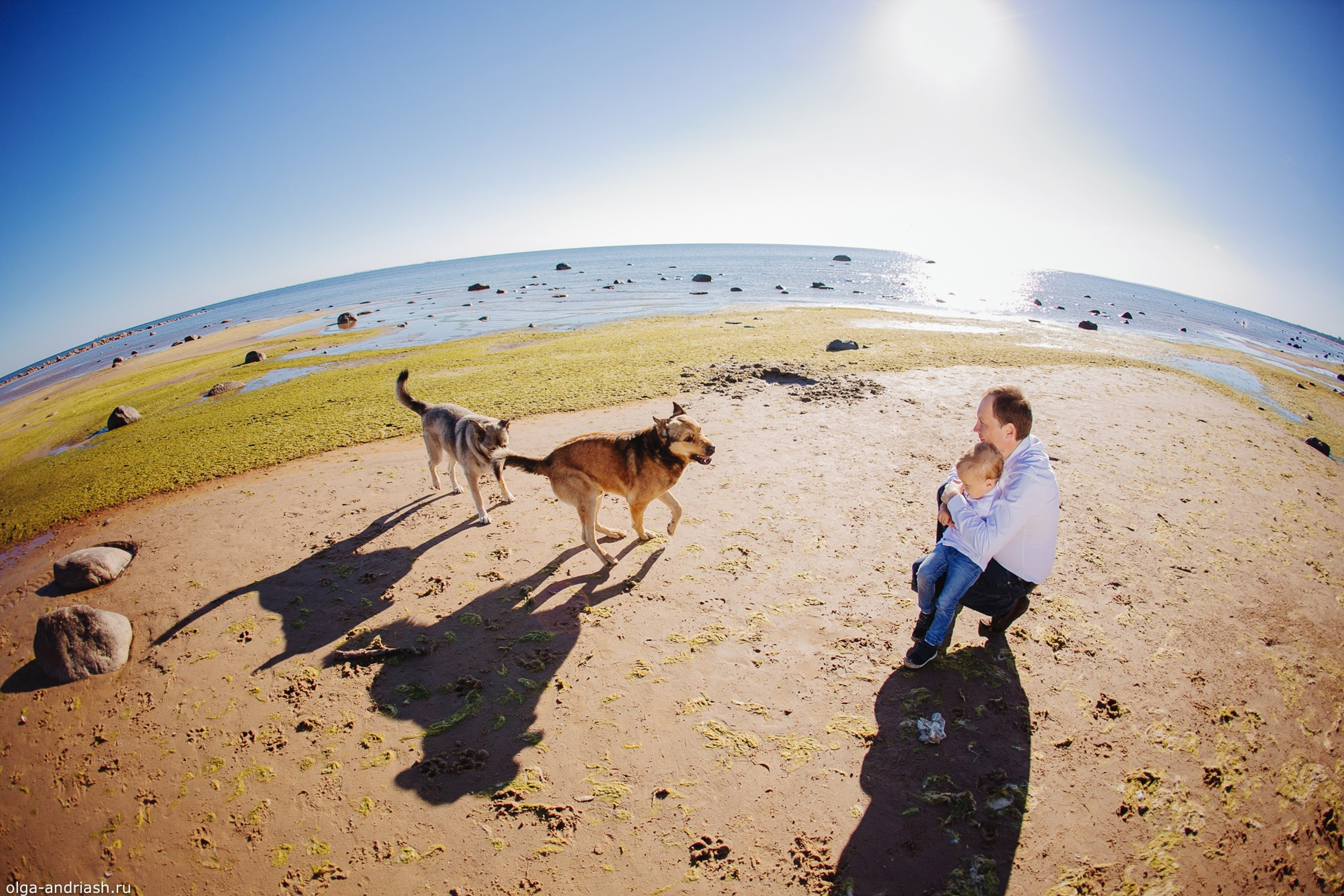 Про Сергея, Сашку, Дашу и Настеньку
