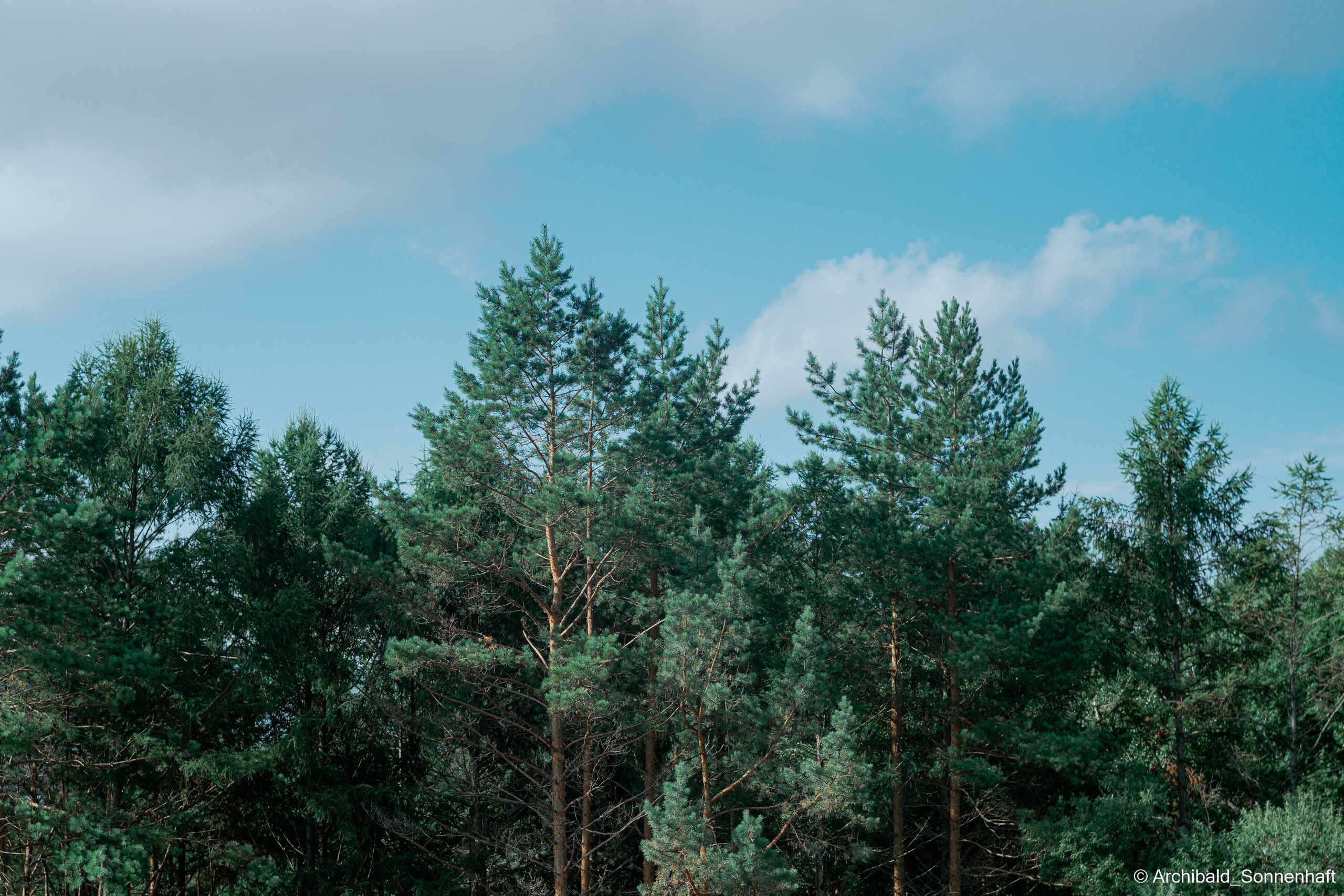 🇨🇳 伊春 (Yichun), 2022.07.21