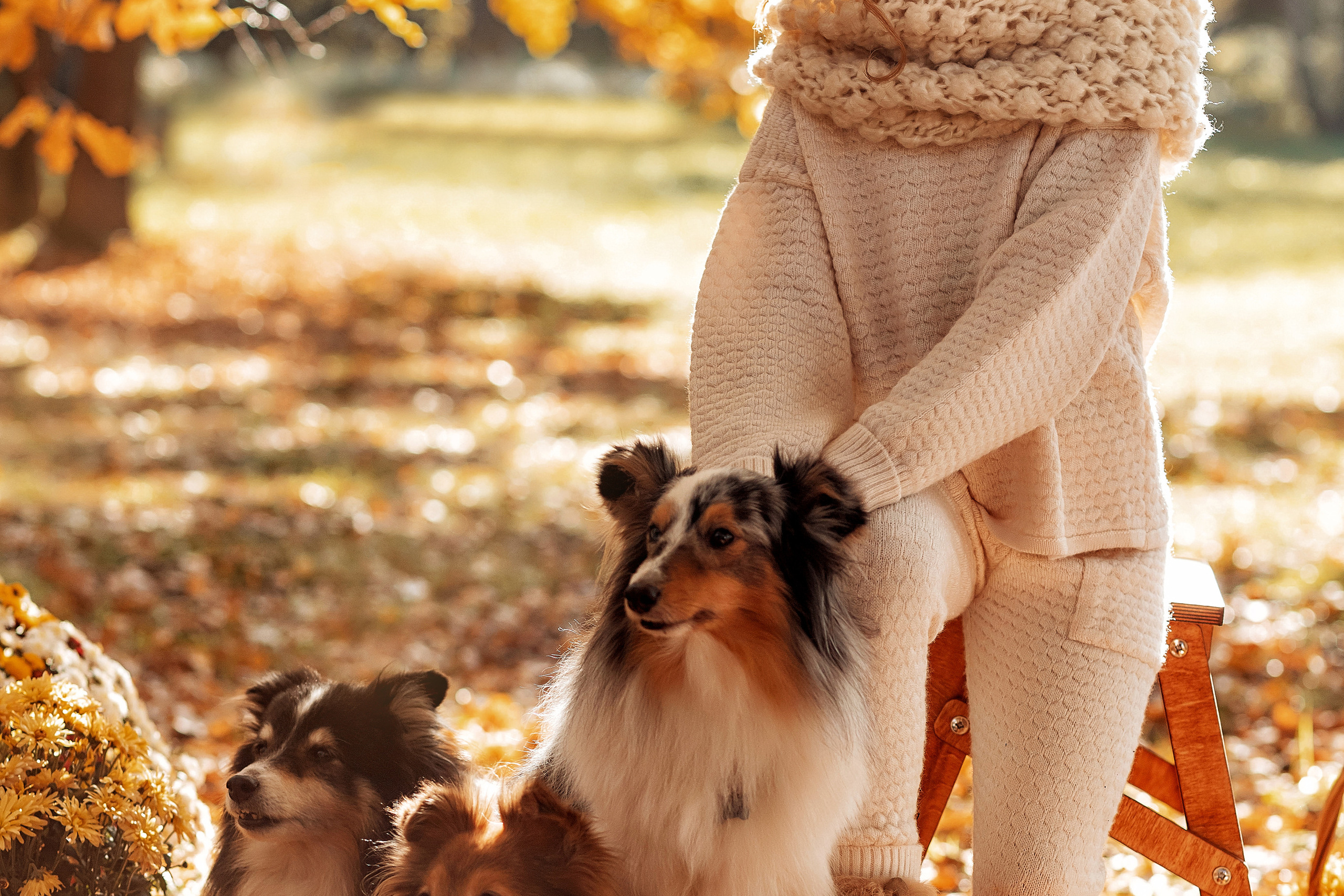 Съемки с разными животными