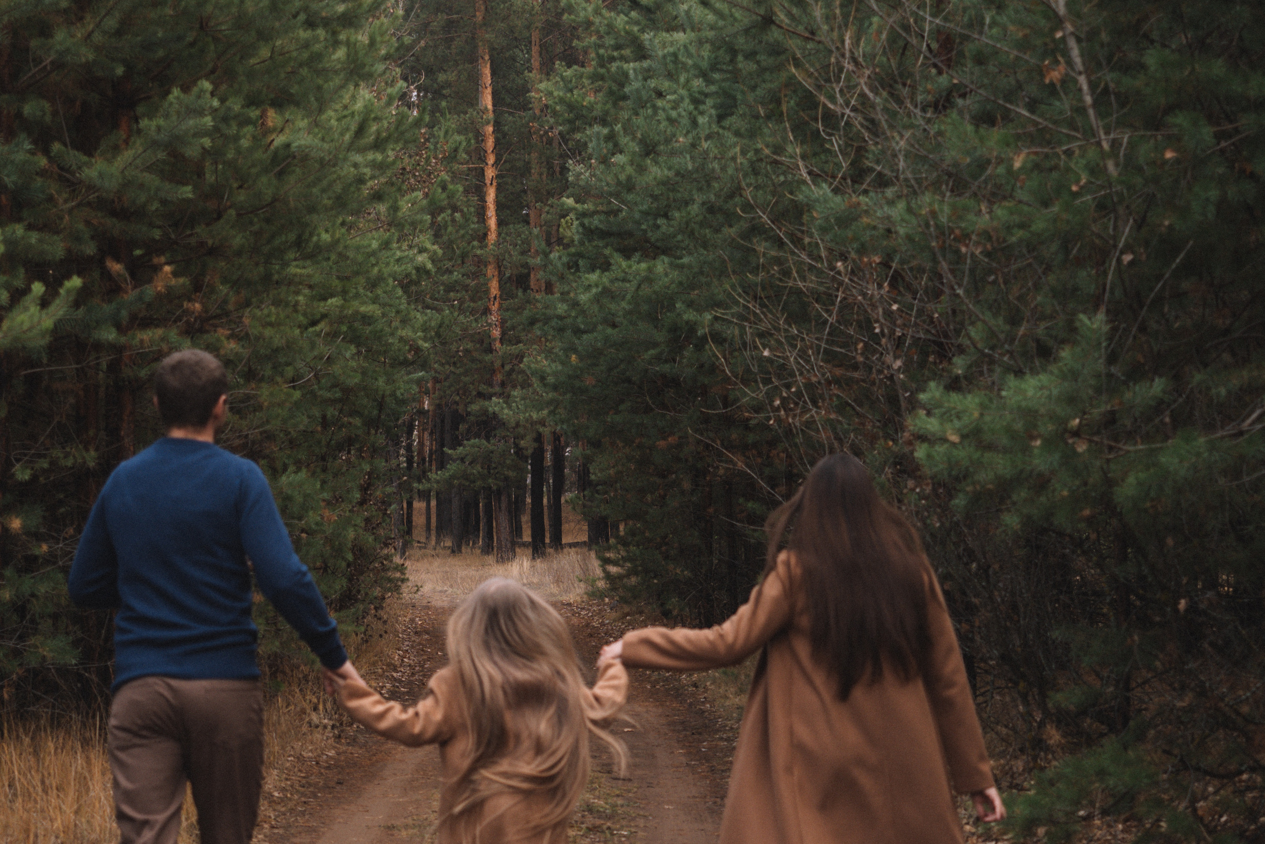 Осень в соснах