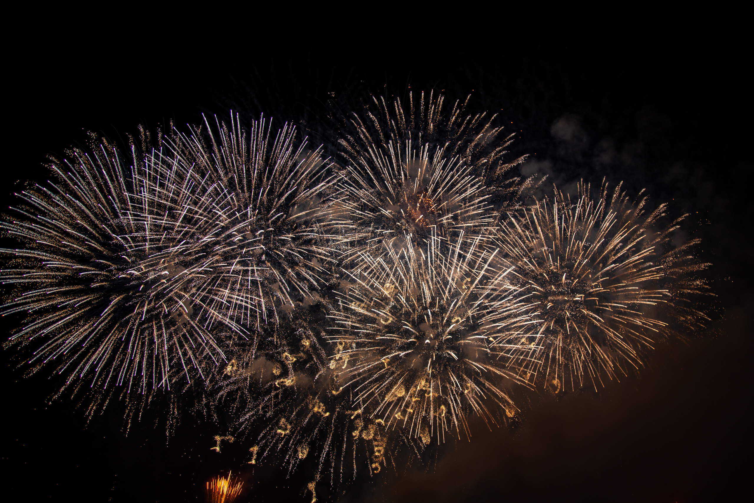 Circle of Light 2019