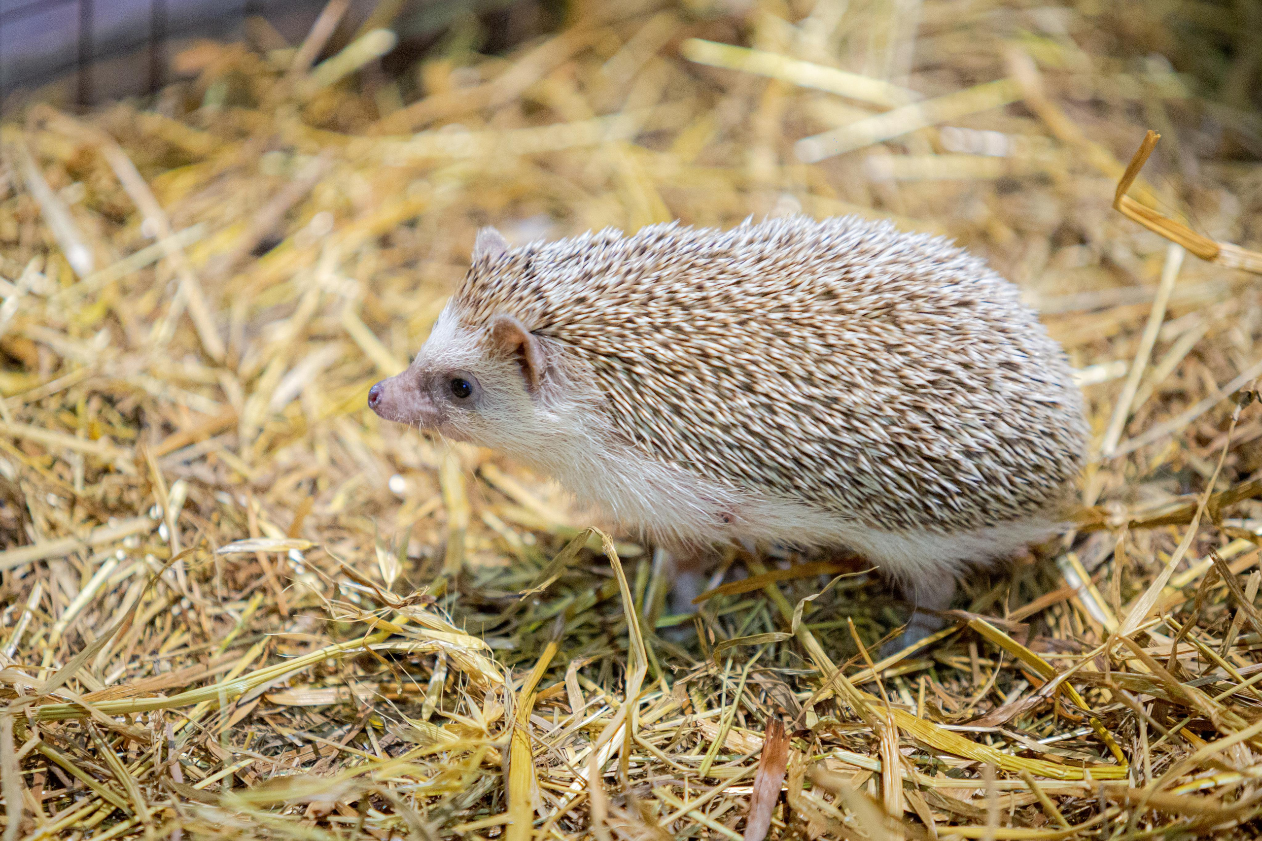 Зоопарк РИО